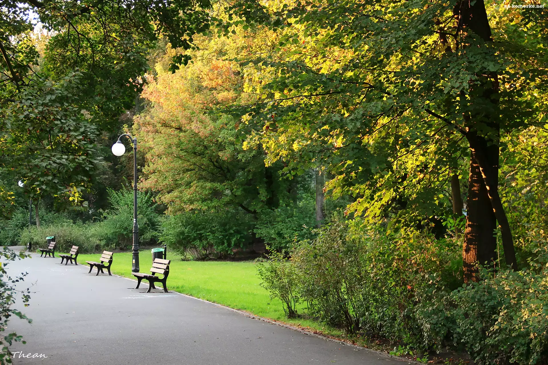 Park, Ławki, Drzewa, Alejka