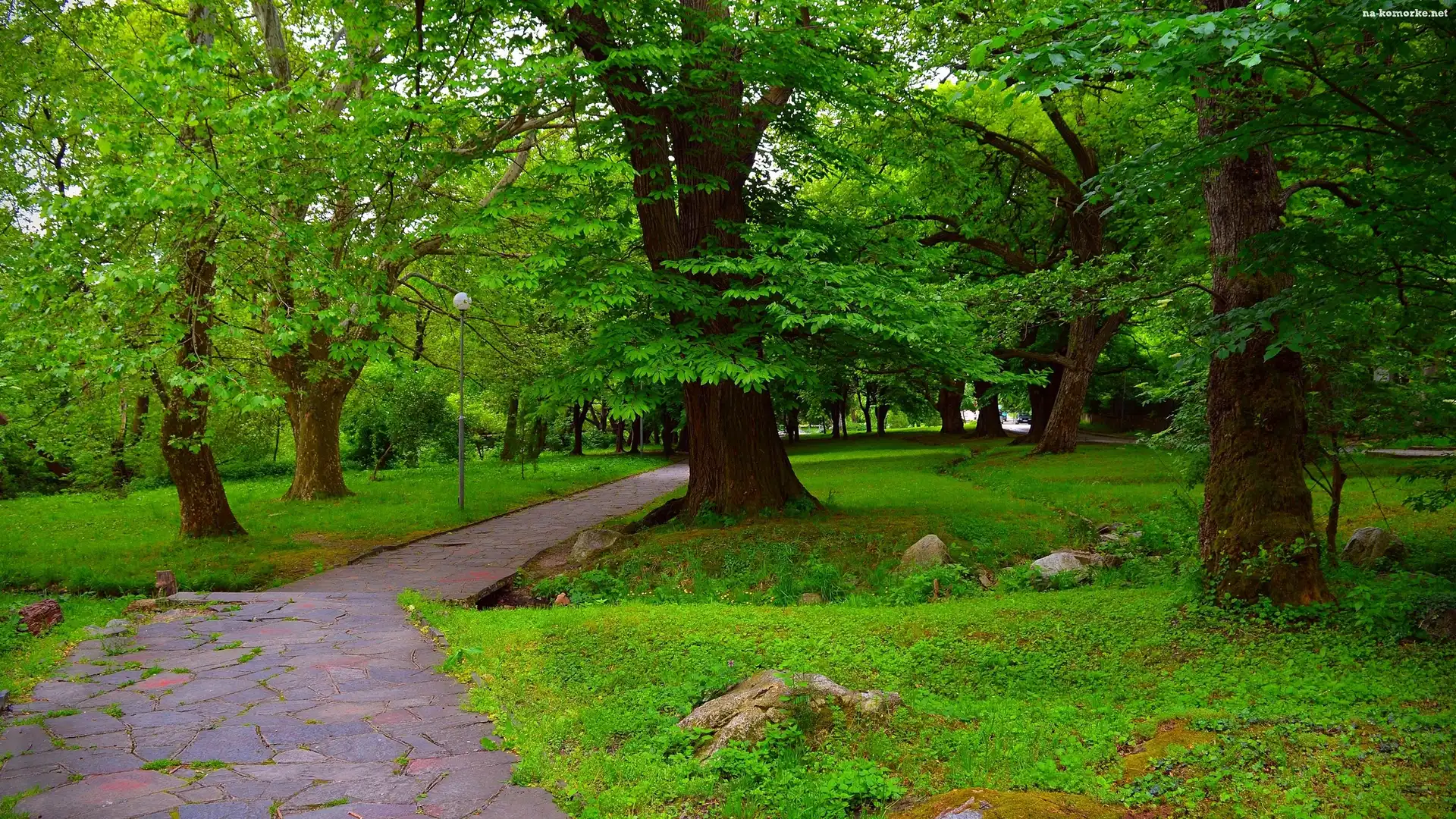 Park, Latarnia, Drzewa, Alejka