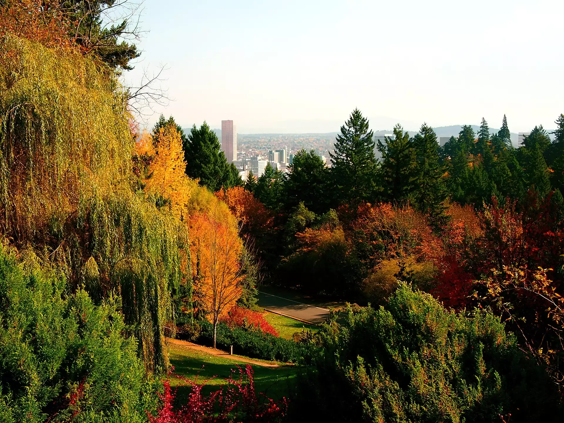 Park, Miasto, Drzewa, Panorama