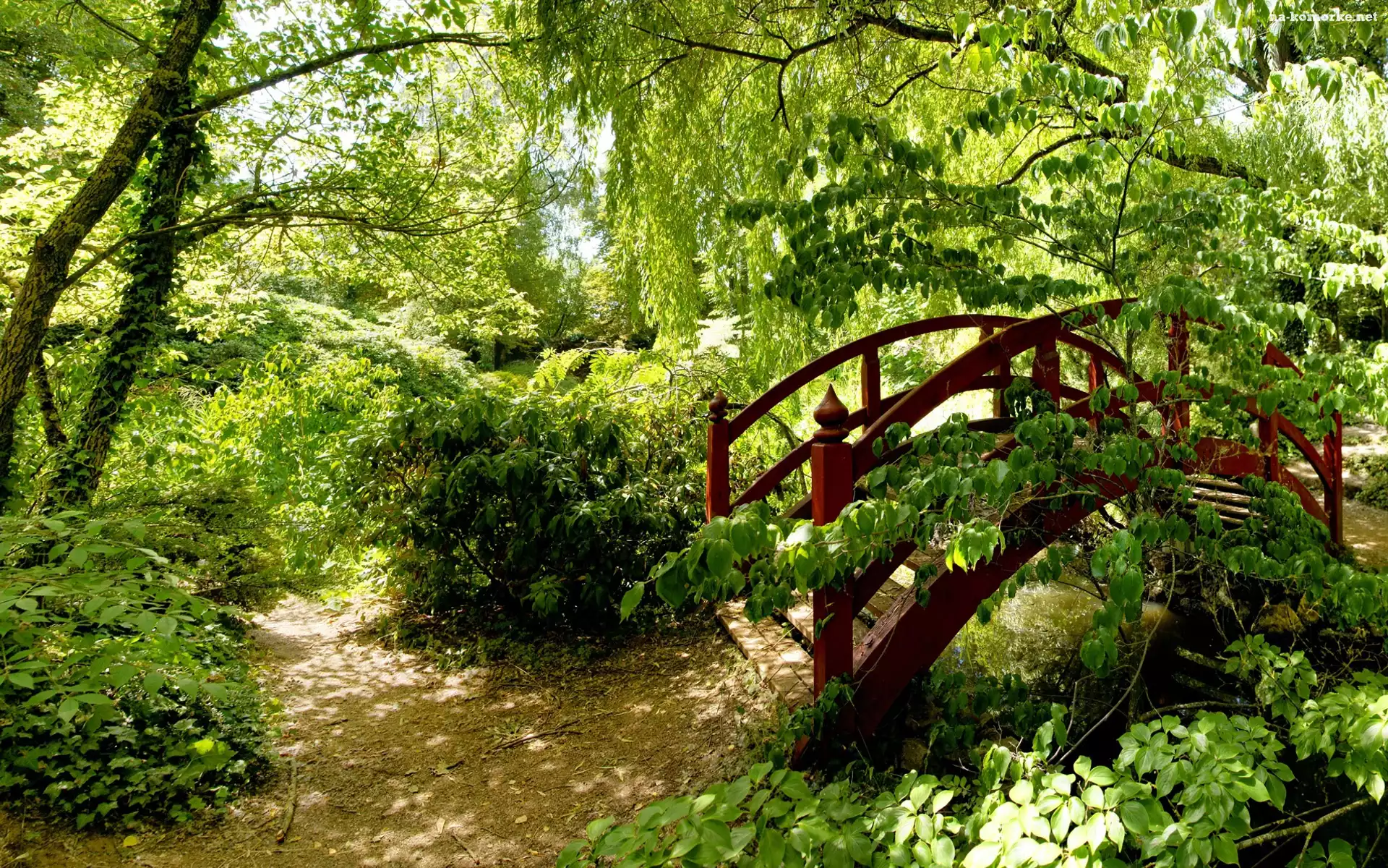 Park, Mostek, Drzewa, Krzewy