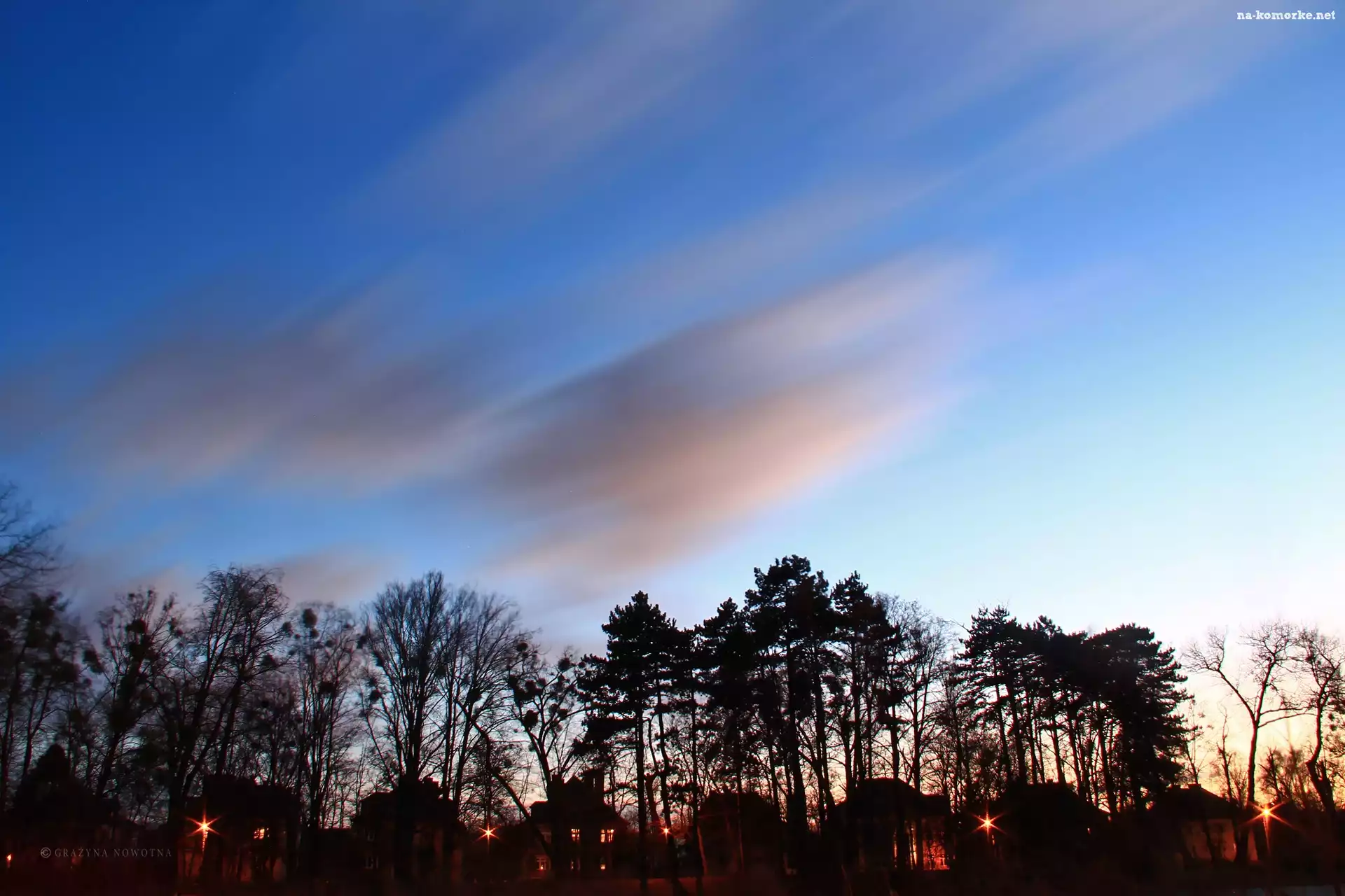 Park, Niebo, Drzewa, Wieczór