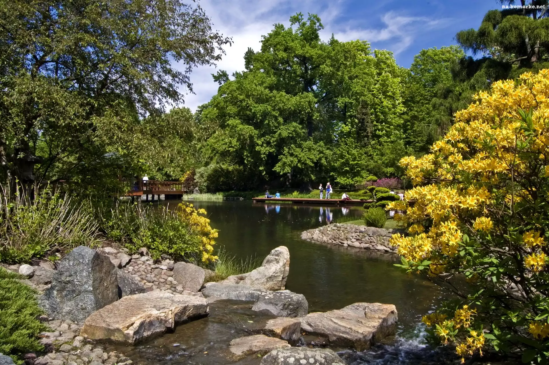 Park, Wiosna, Drzewa, Krzewy