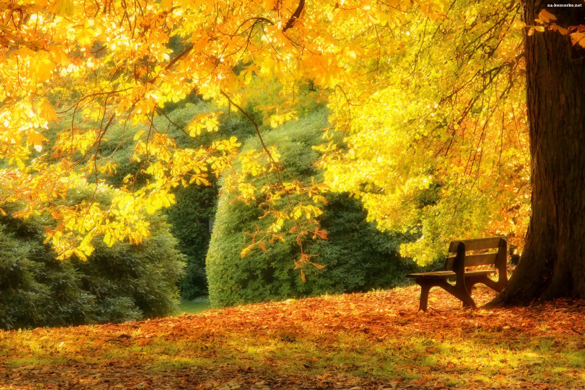 Jesień, Park, Ławeczka