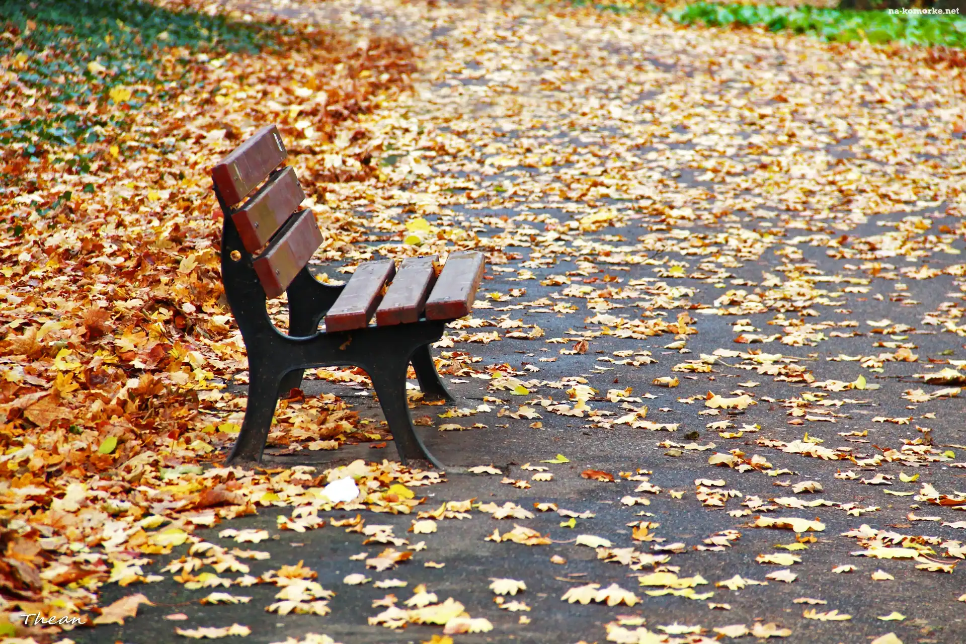 Ławka, Jesień, Park, Liście