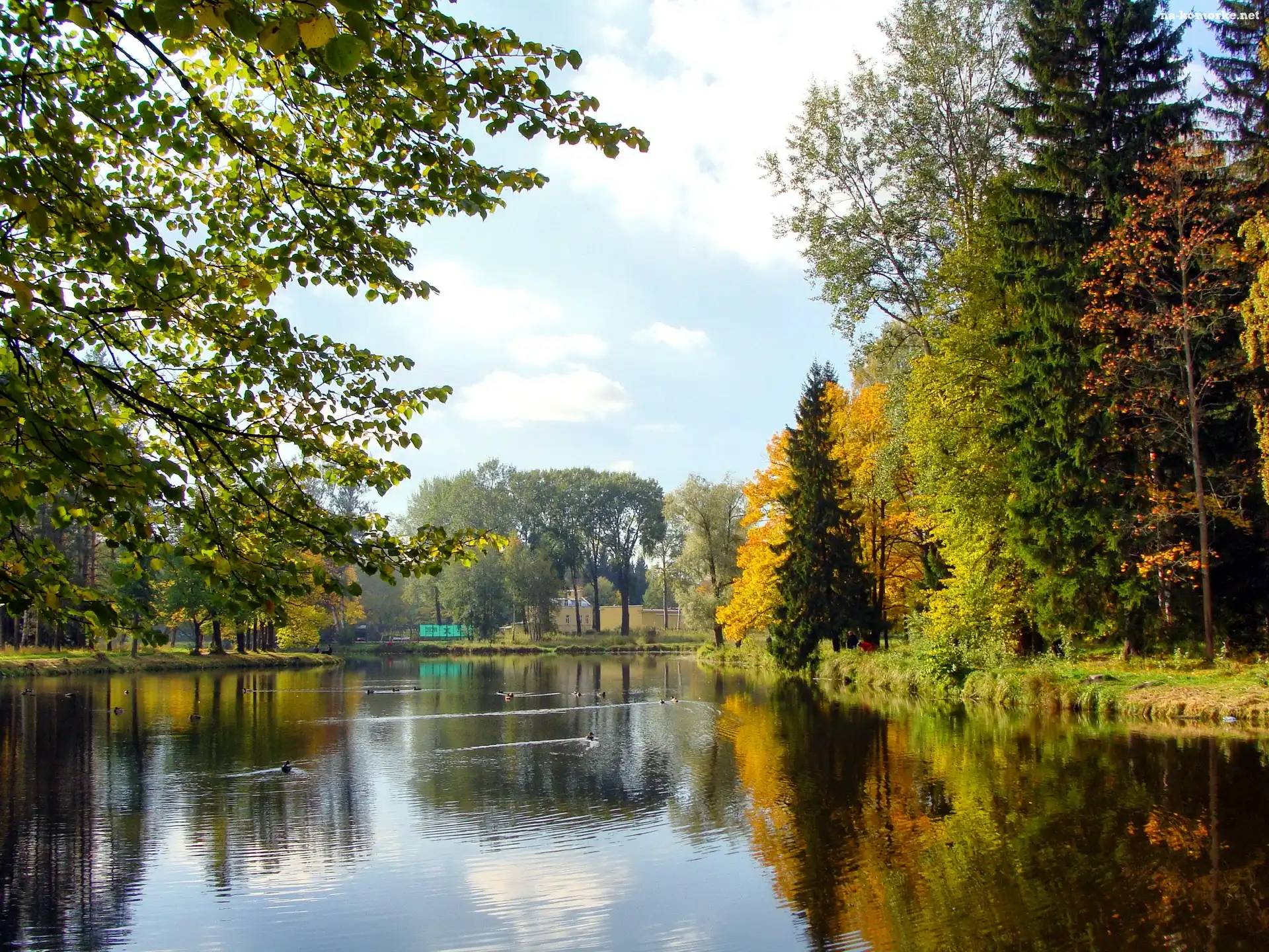 Park, Drzewa, Jesień, Jezioro