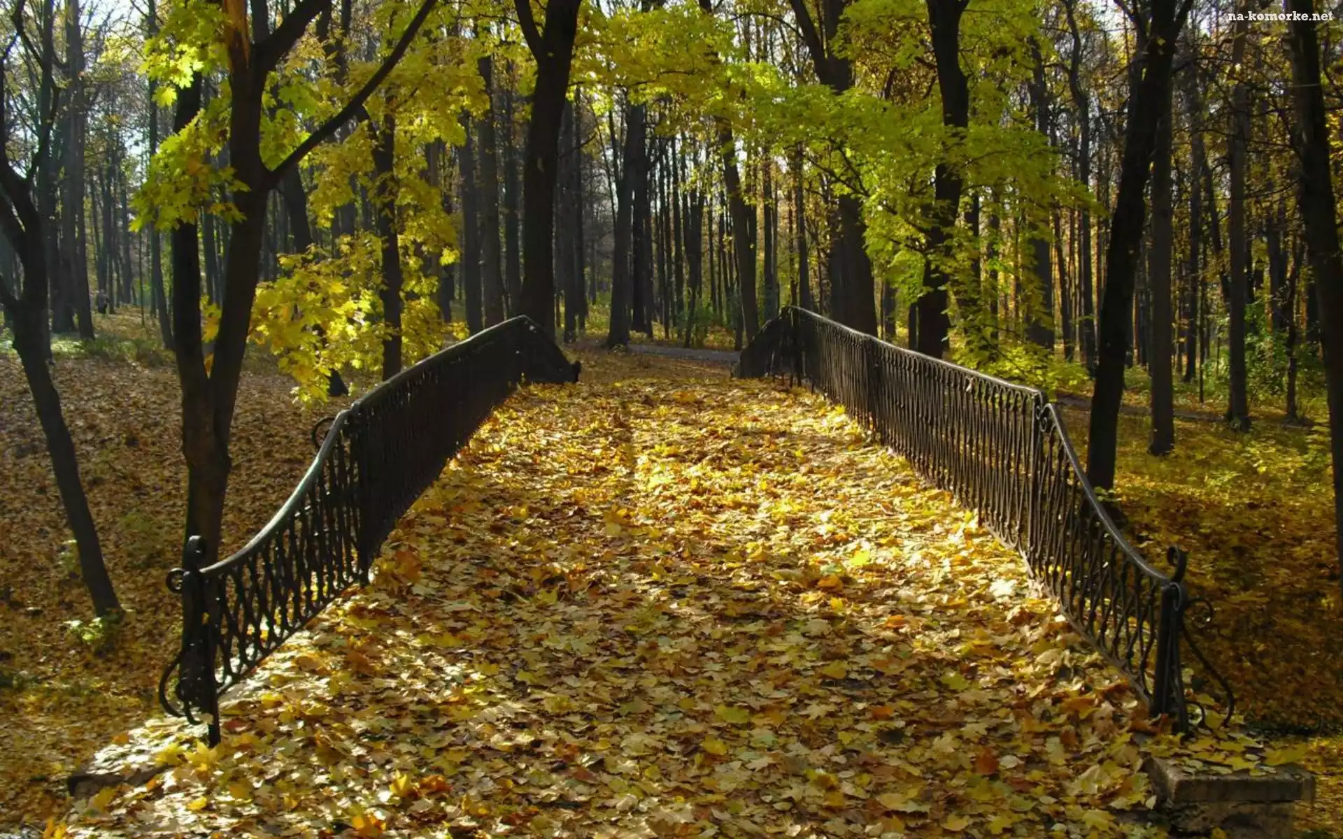 Park, Liście, Jesień, Mostek