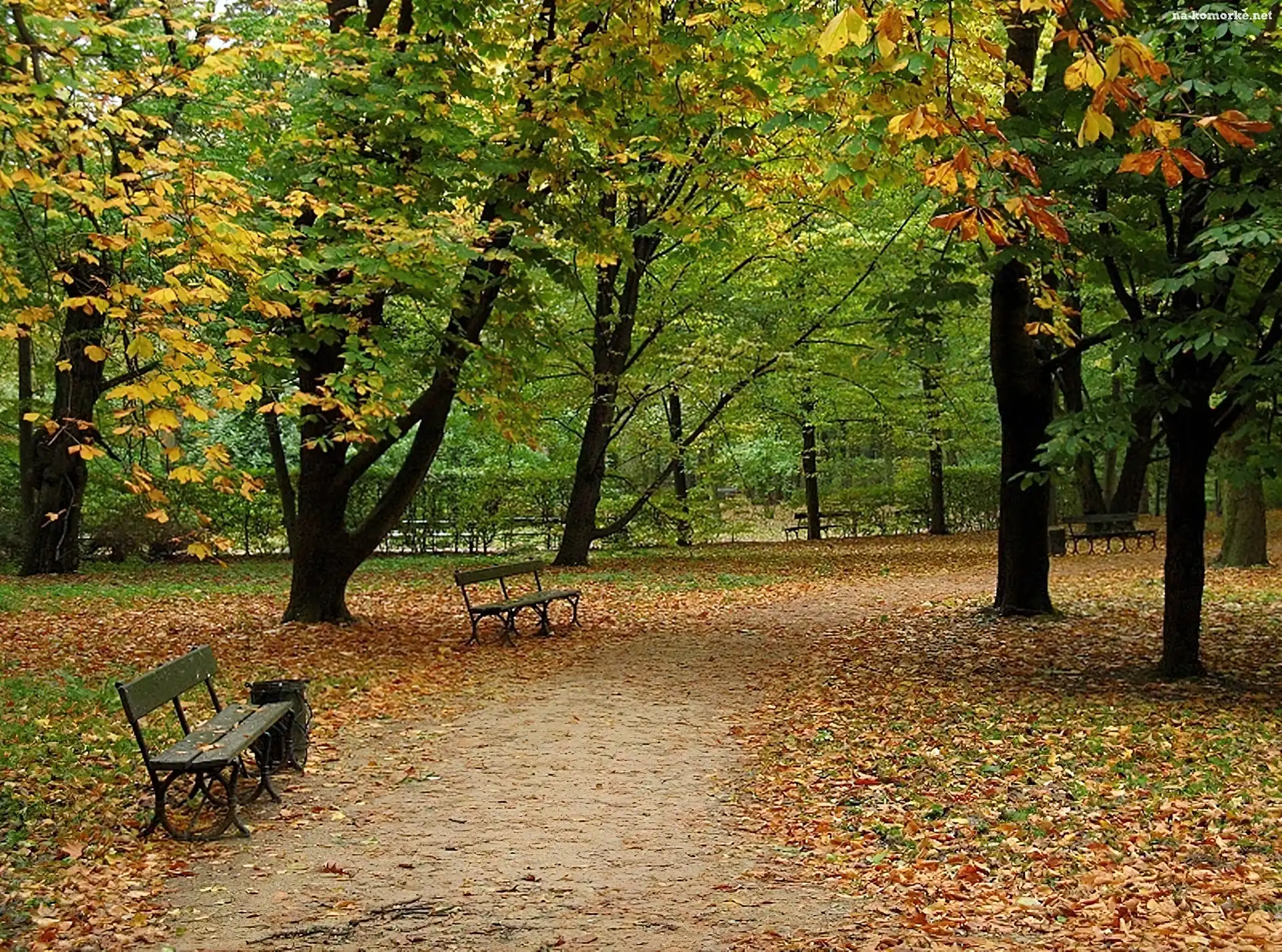 Park, Jesień