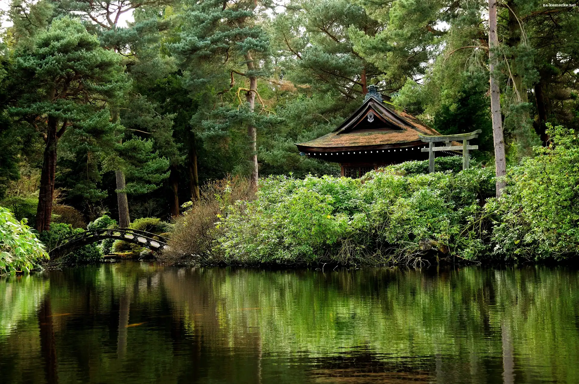 Park, Jezioro