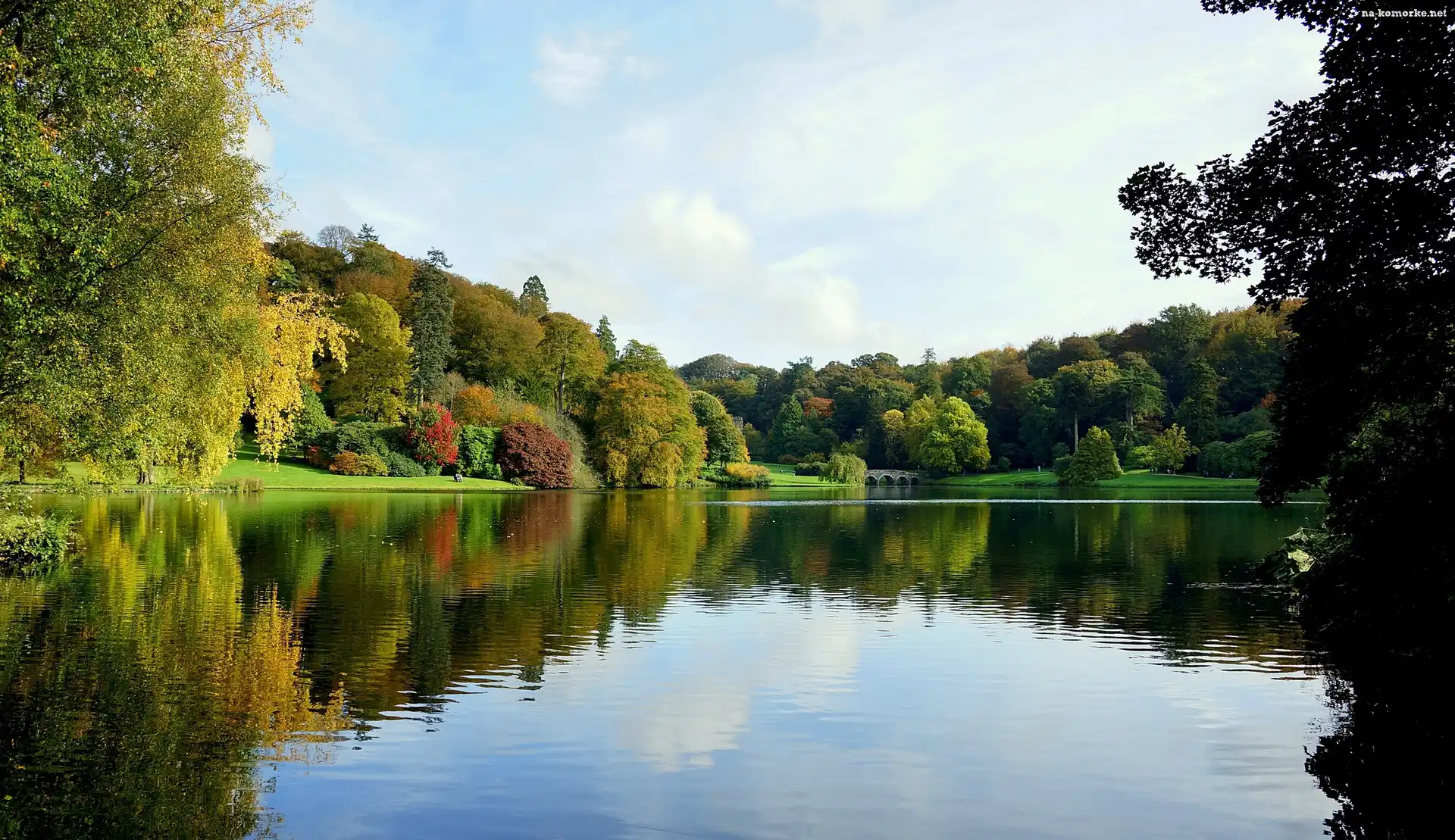 Park, Lato, Jezioro, Mostek
