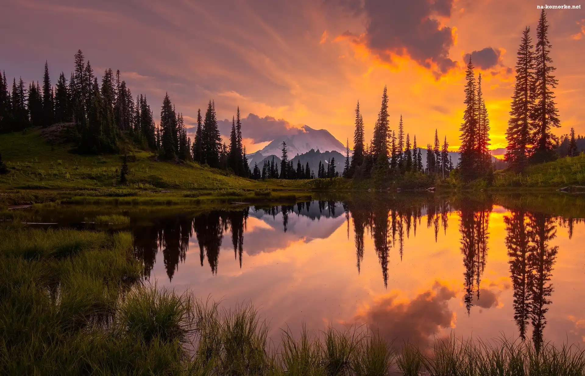 Park Narodowy Mount Rainier, Stan Waszyngton, Drzewa, Stany Zjednoczone, Jezioro Tipsoo, Zachód Słońca, Góry, Stratowulkan Mount Rainier