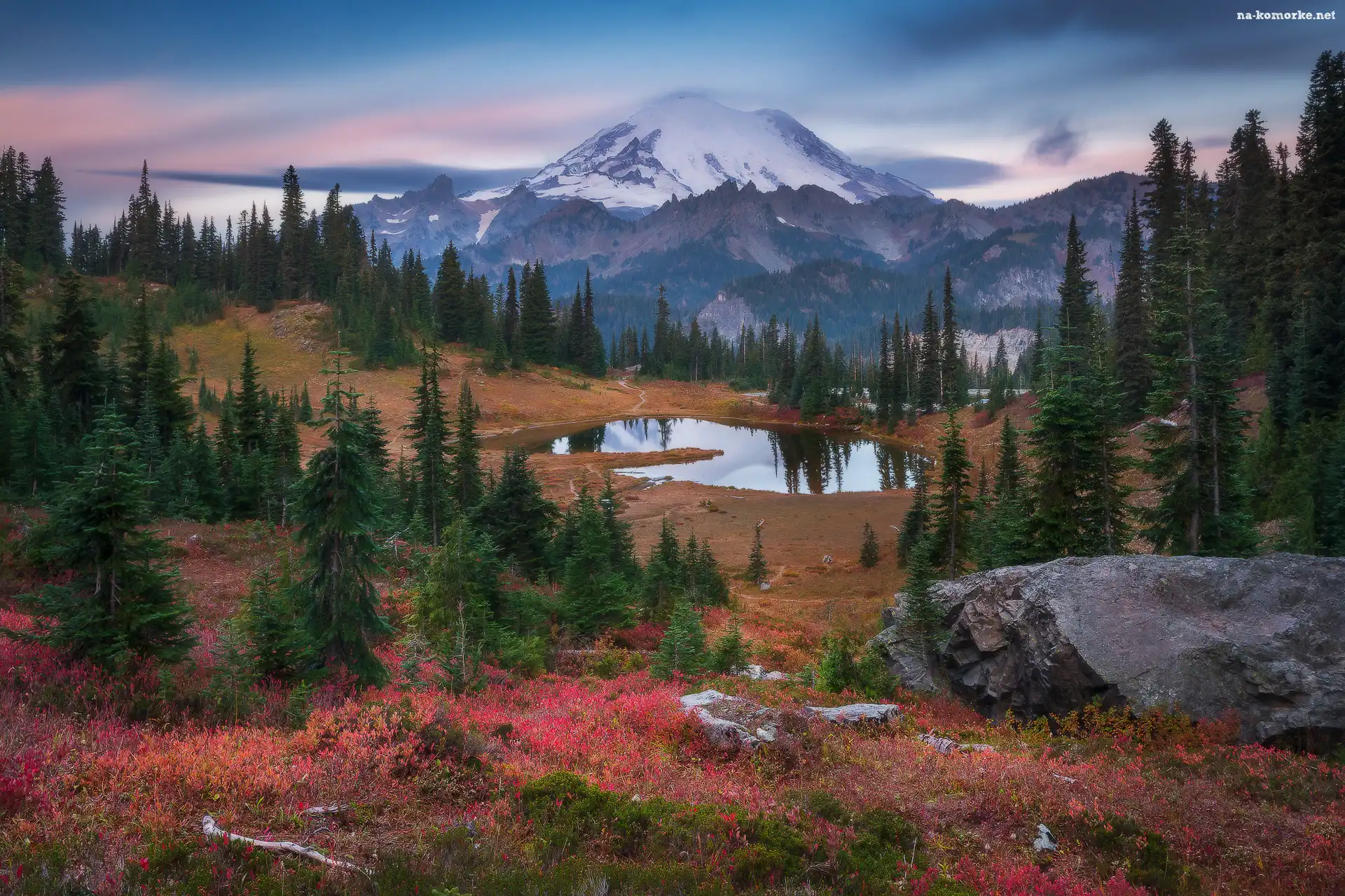 Park Narodowy Mount Rainier, Stan Waszyngton, Stany Zjednoczone, Góry, Stratowulkan Mount Rainier, Drzewa, Jezioro Tipsoo
