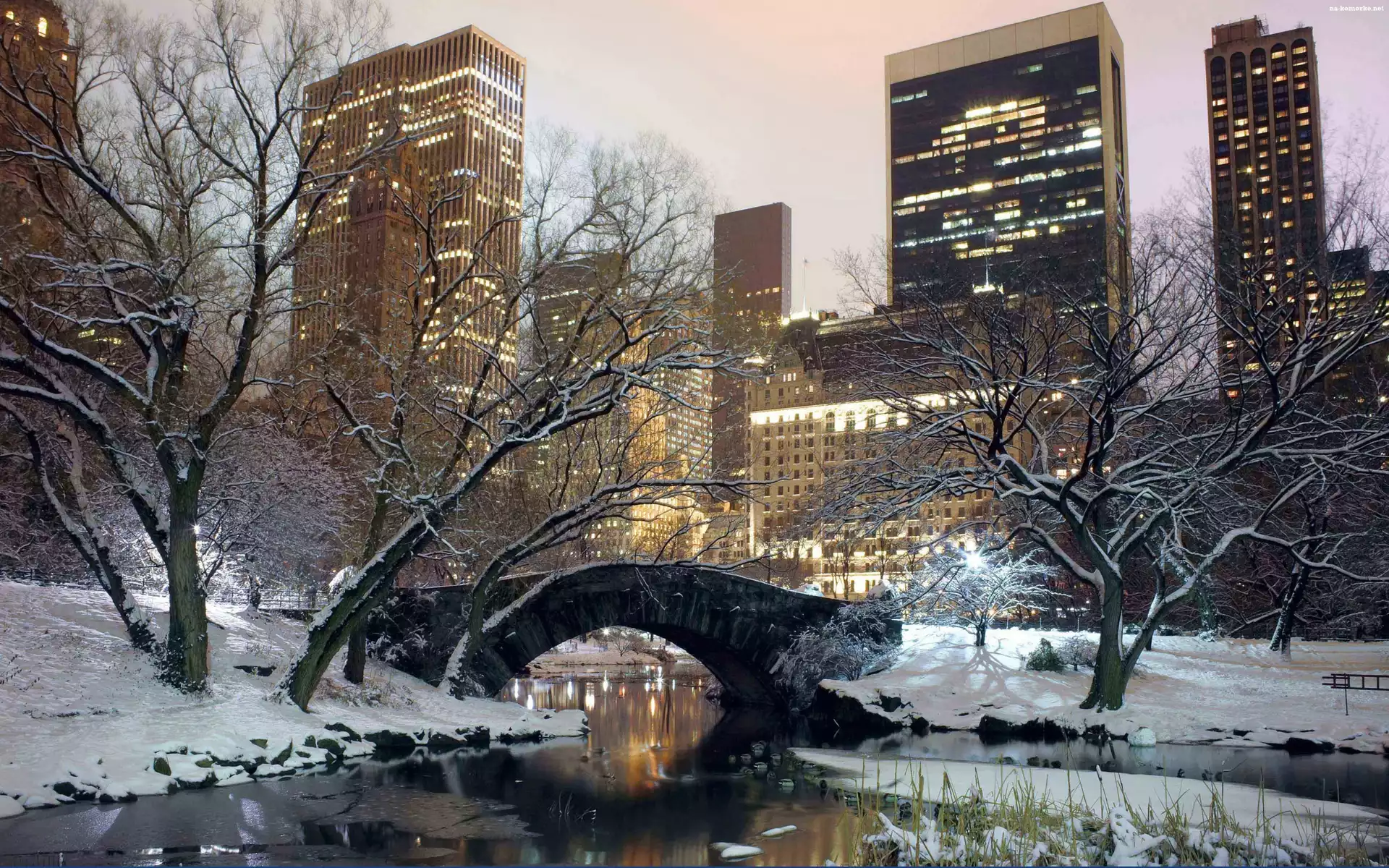 Park, Zima, Nowy Jork, USA