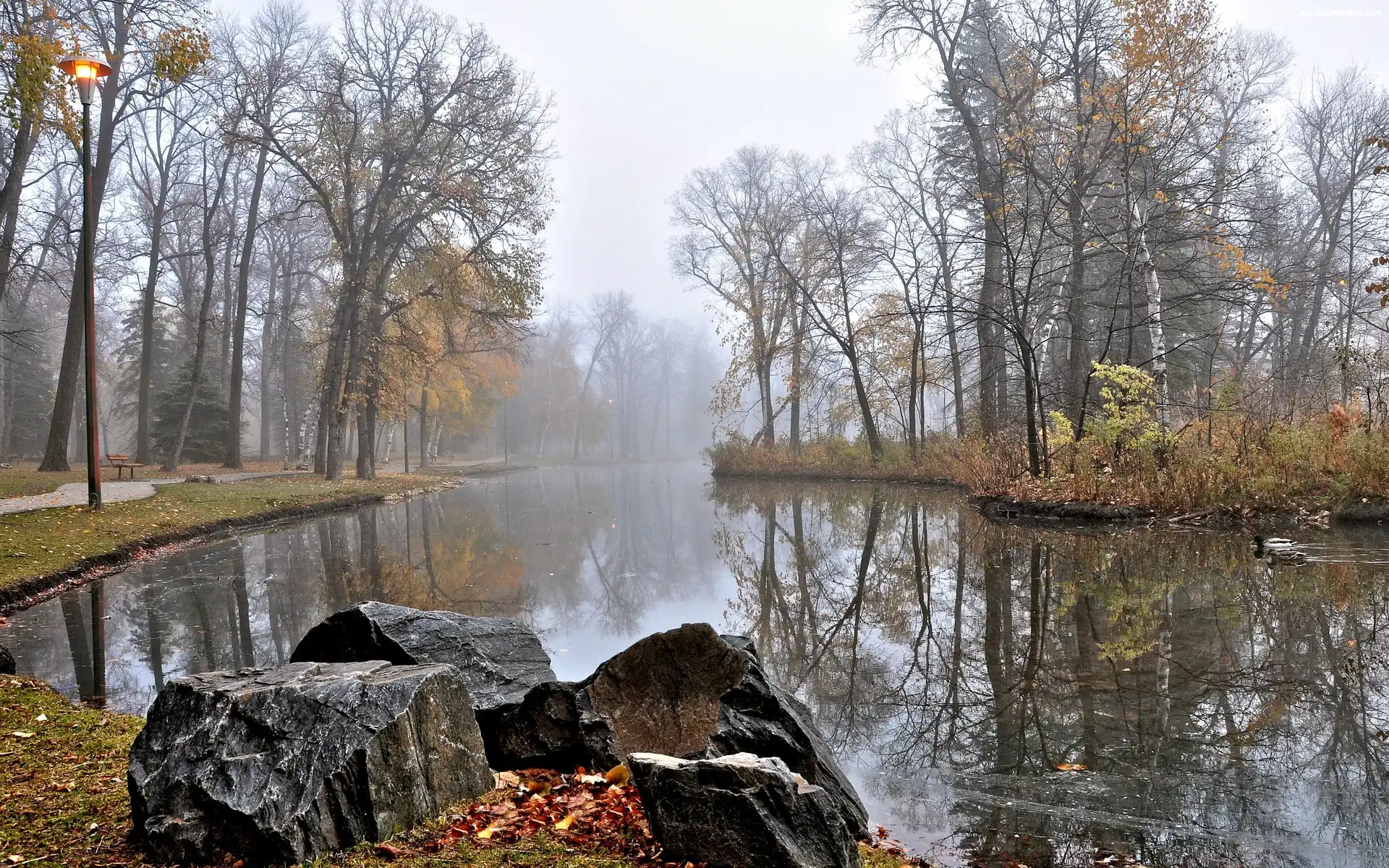 Park, Kaczki, Rzeka, Jesień, Kamienie, Mgła