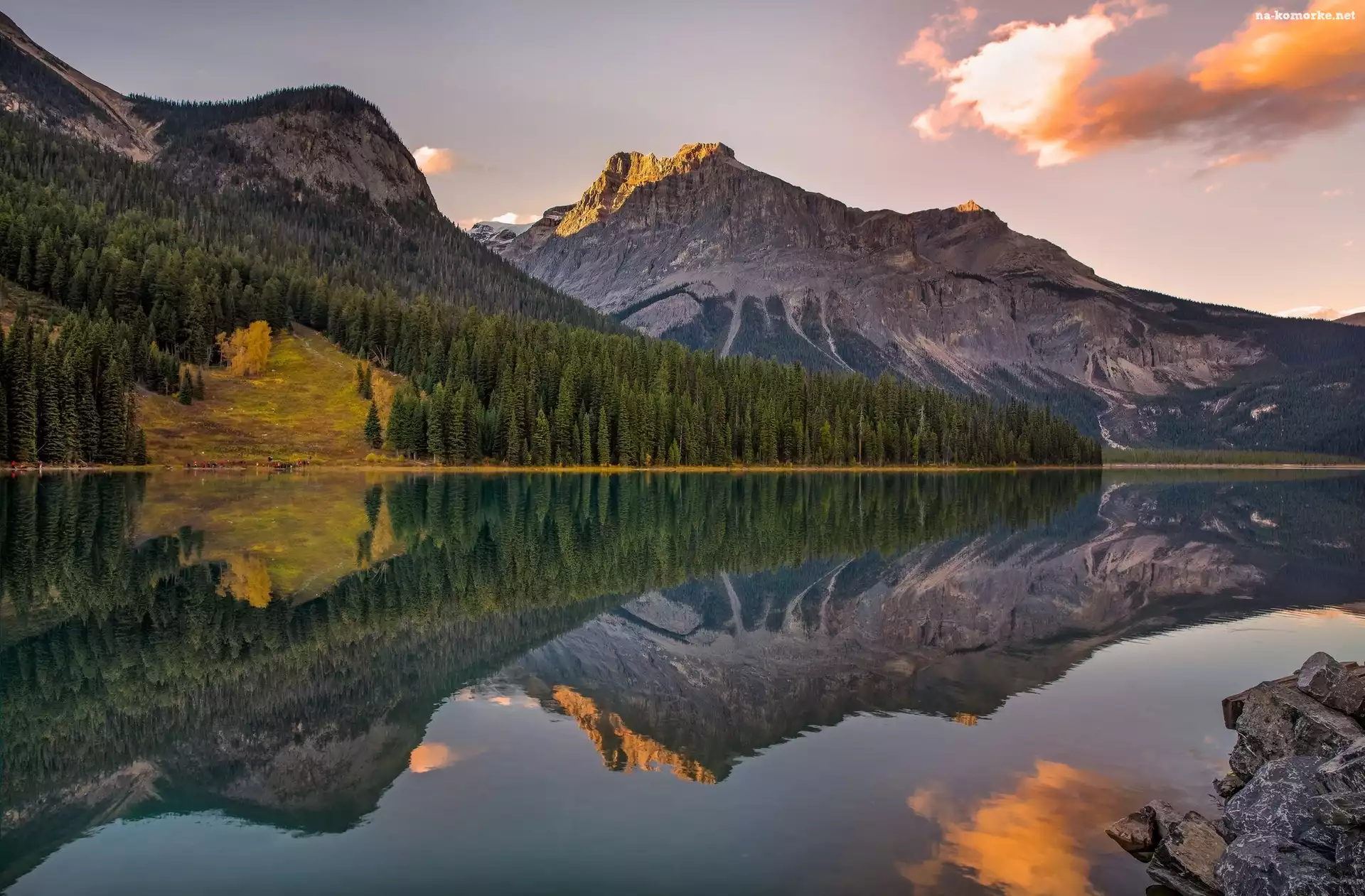 Kanada, Świerki, Odbicie, Kolumbia Brytyjska, Park Narodowy Yoho, Jezioro Emerald Lake, Góry
