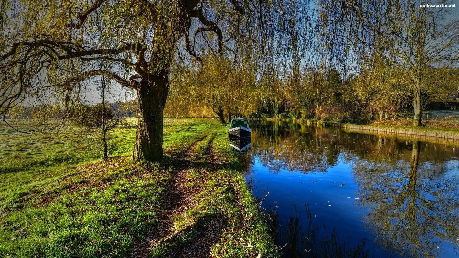 Park, Drzewa, Kanał, Łódka
