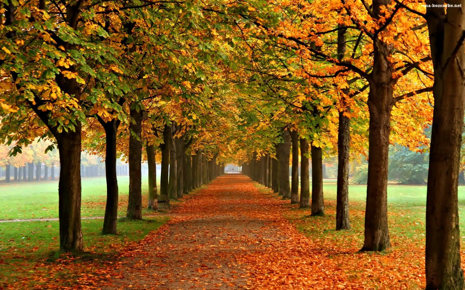 Park, Jesień, Drzewa, Kasztany, Liście