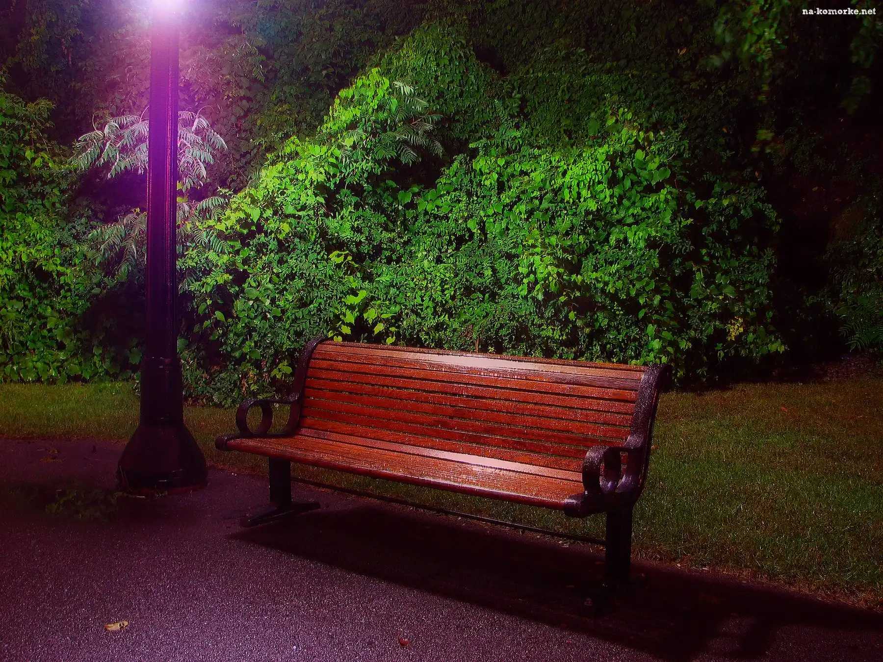 Park, Lampa, Krzewy, Ławka