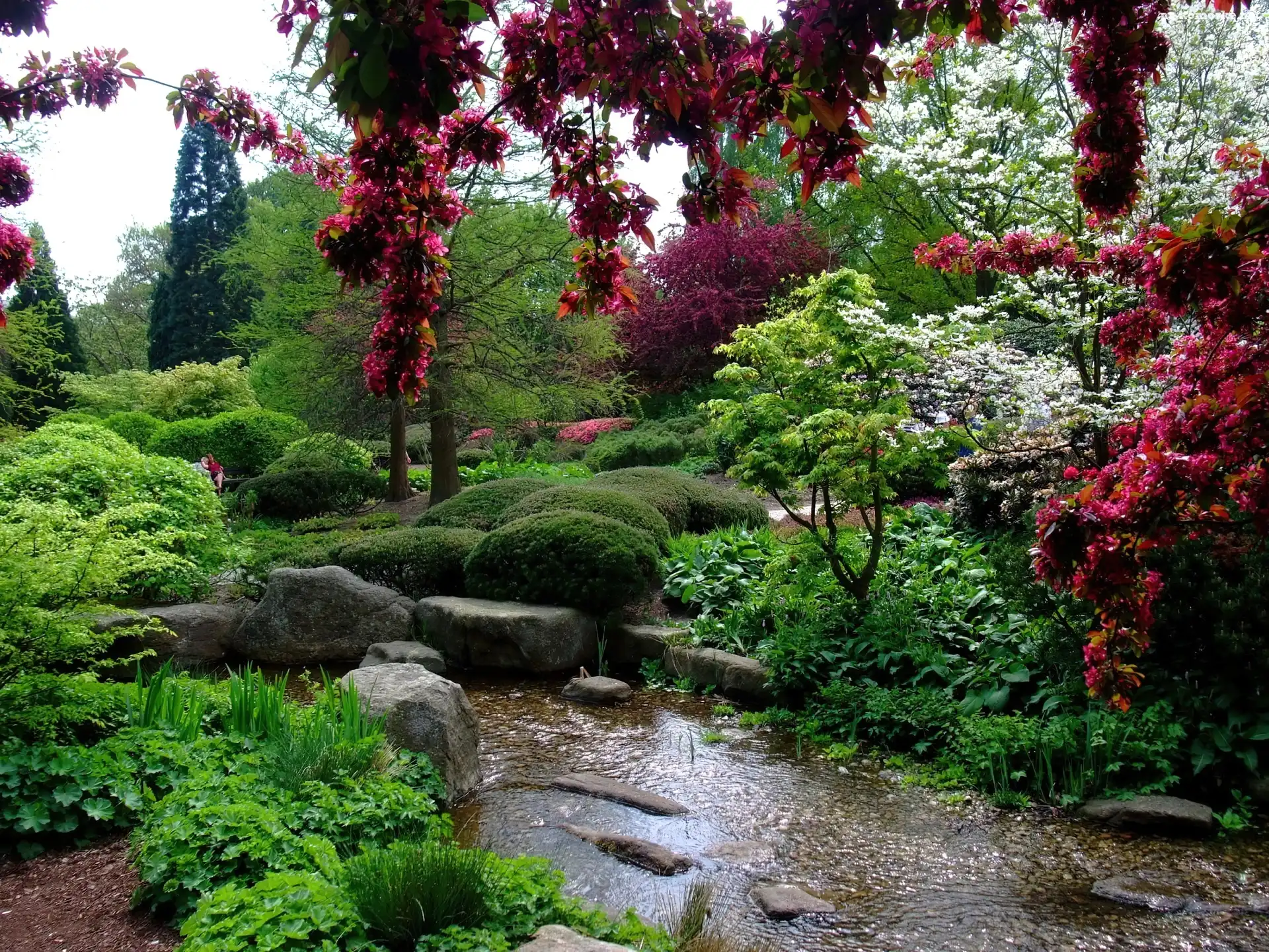 Park, Woda, Krzewy, Drzewa