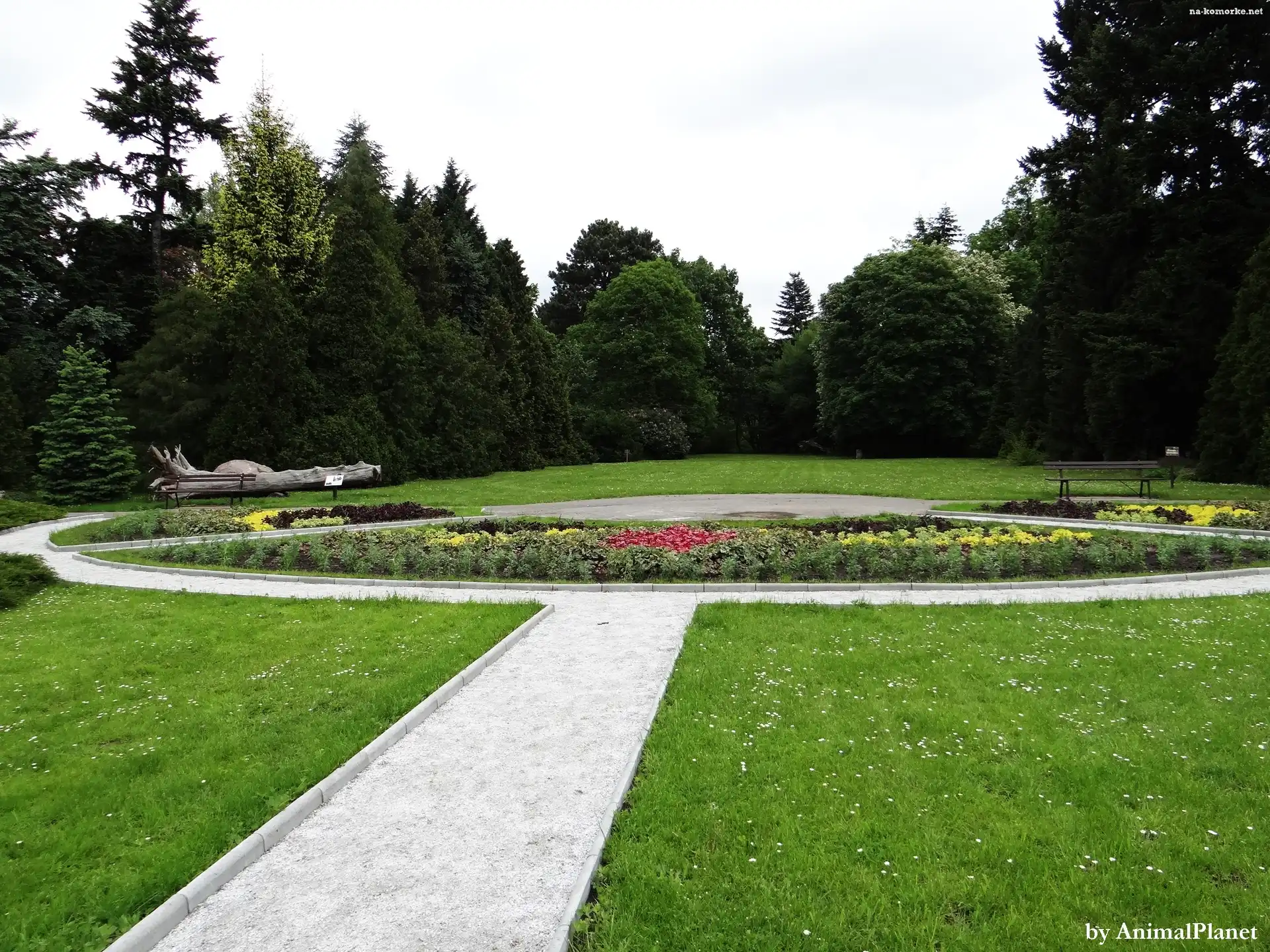 Park, Ławka, Kwiaty, Alejka