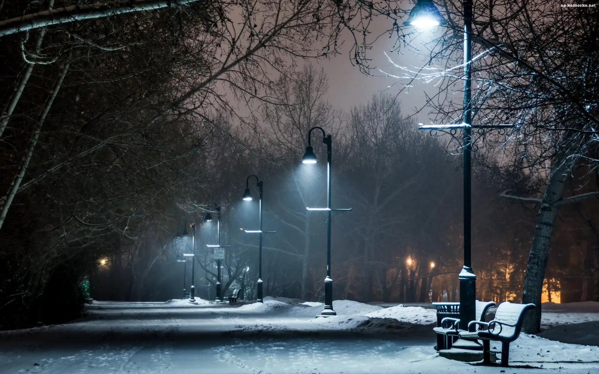 Park, Zima, Latarnie, Ławki