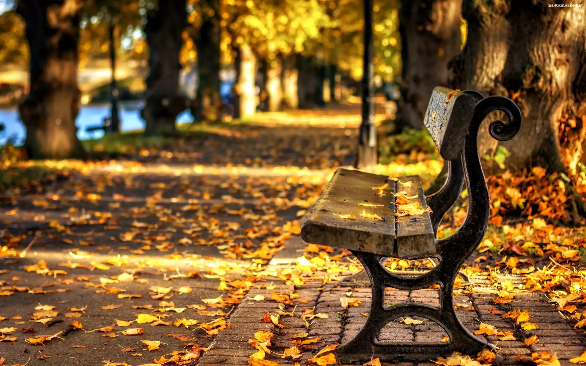 Park, Alejka, Liście, Ławka