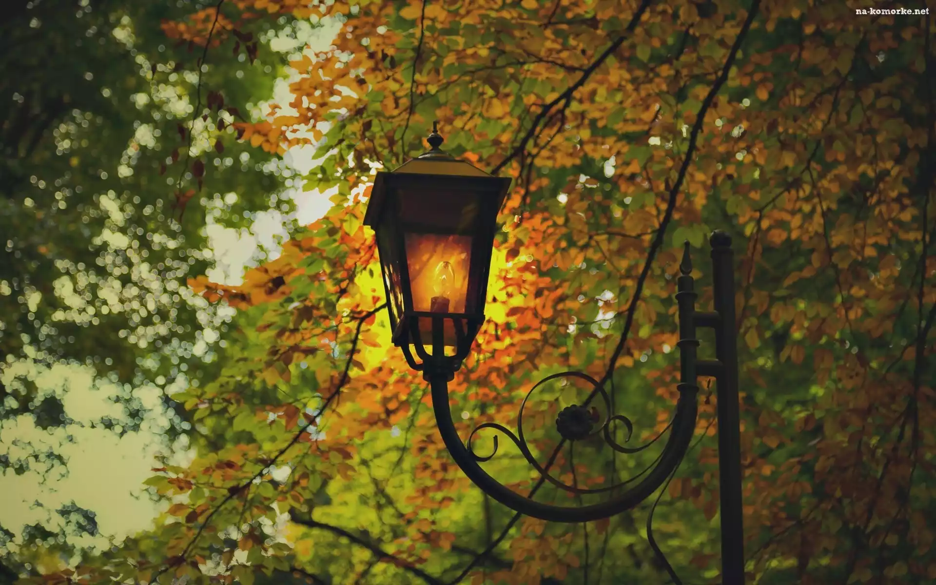 Park, Jesień, Drzewa, Liście, Latarnia