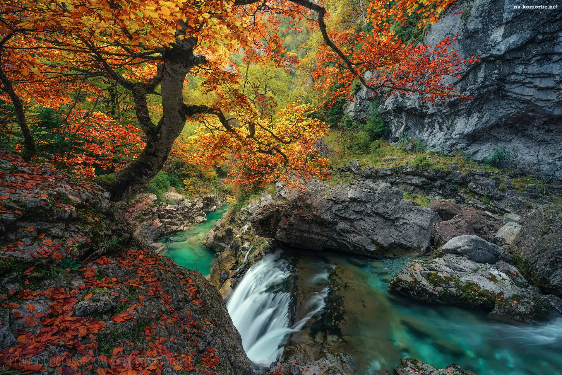Pożółkłe, Dolina Ordeus, Skały, Głazy, Opadłe, Park Narodowy y Monte Perdido, Hiszpania, Rzeczka, Liście, Jesień, Drzewa