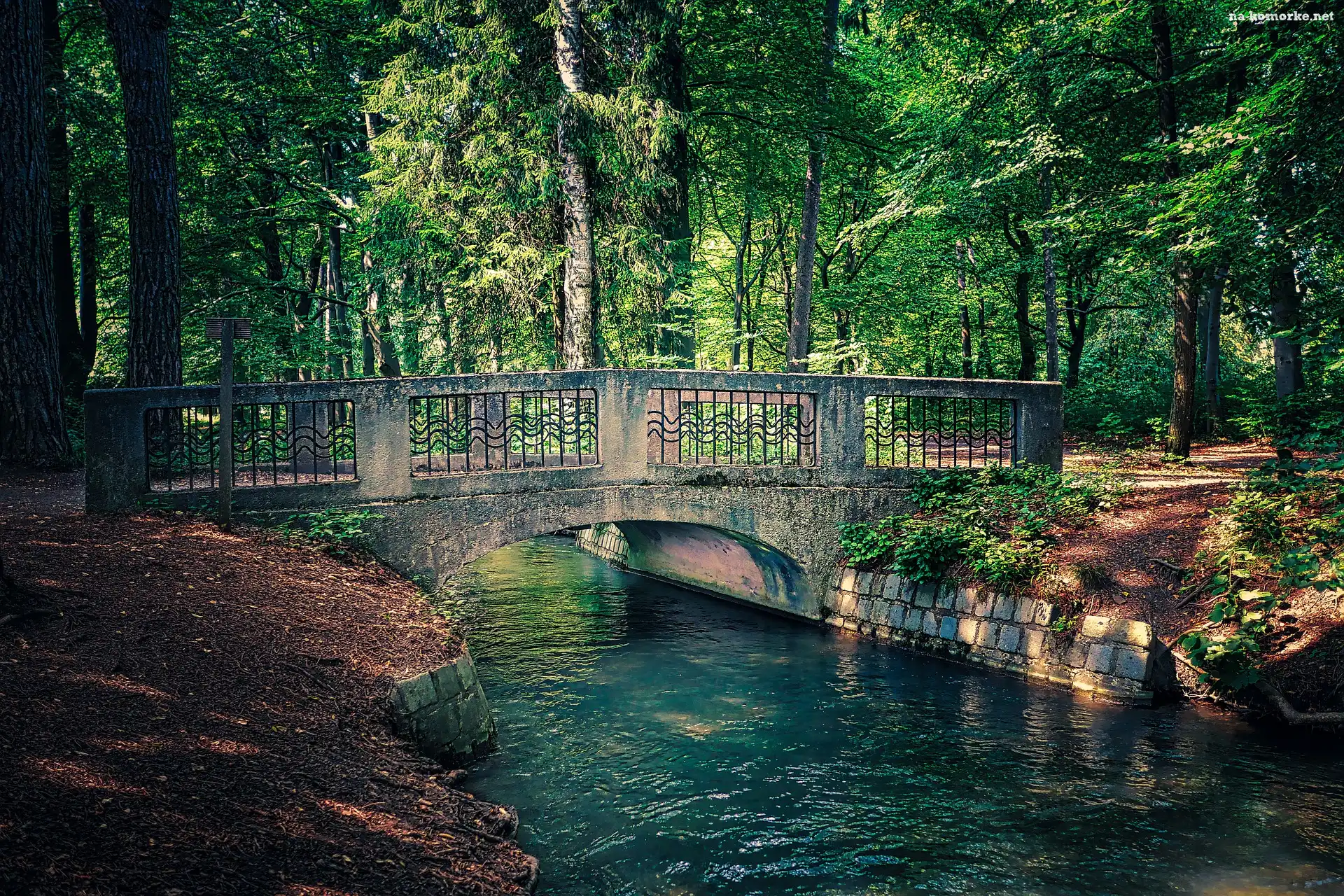 Park, Rzeka, Kamienny, Most, Drzewa