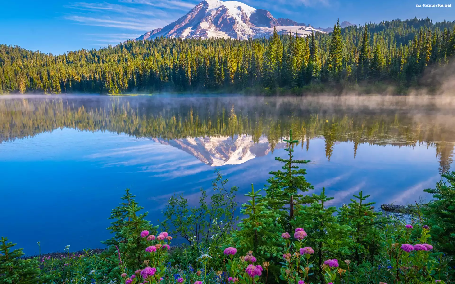 Park Narodowy Mount Rainier, Drzewa, Las, Góry, Stany Zjednoczone, Jezioro, Mgła, Stratowulkan Mount Rainier, Stan Waszyngton, Kwiaty, Odbicie