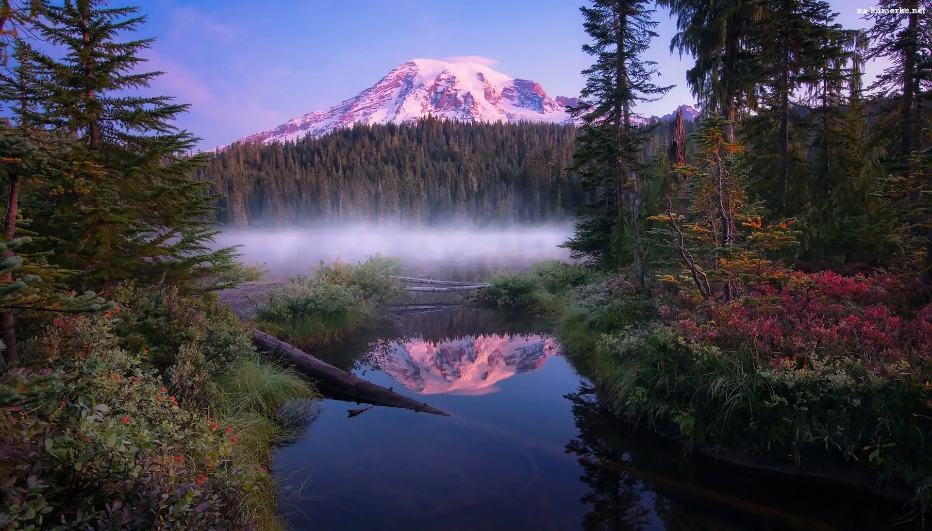 Park Narodowy Mount Rainier, Stany Zjednoczone, Góra, Jezioro Reflection Lakes, Mgła, Stan Waszyngton, Drzewa, Szczyt Mount Rainier, Las