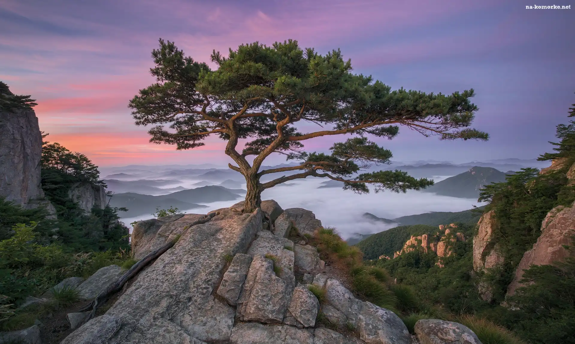 Park prowincjonalny Daedunsan, Prowincja Jeolla Północna, Korea Południowa, Wschód Słońca, Drzewa, Sosny, Góry