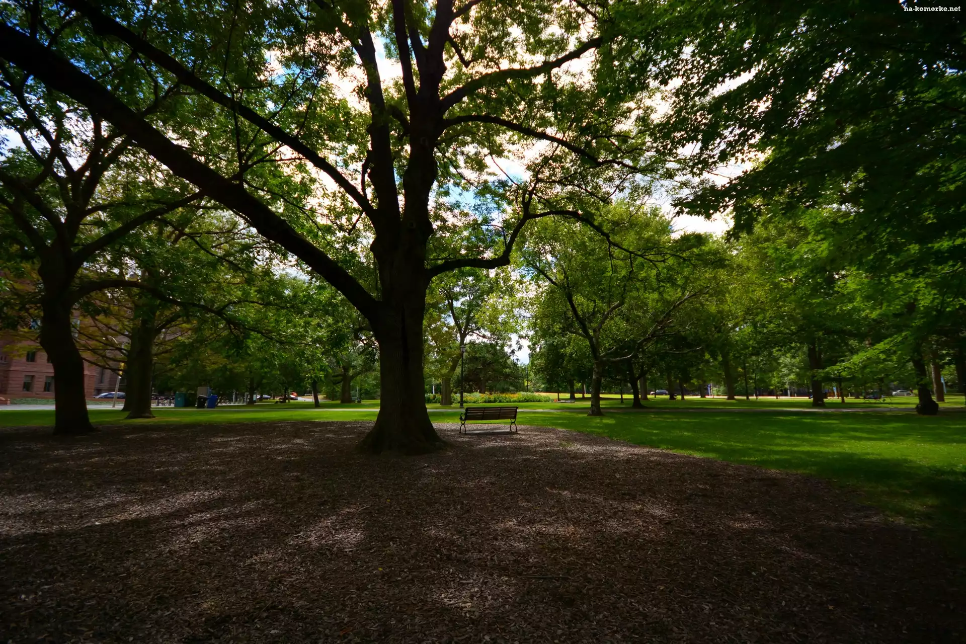 Queens park, Toronto