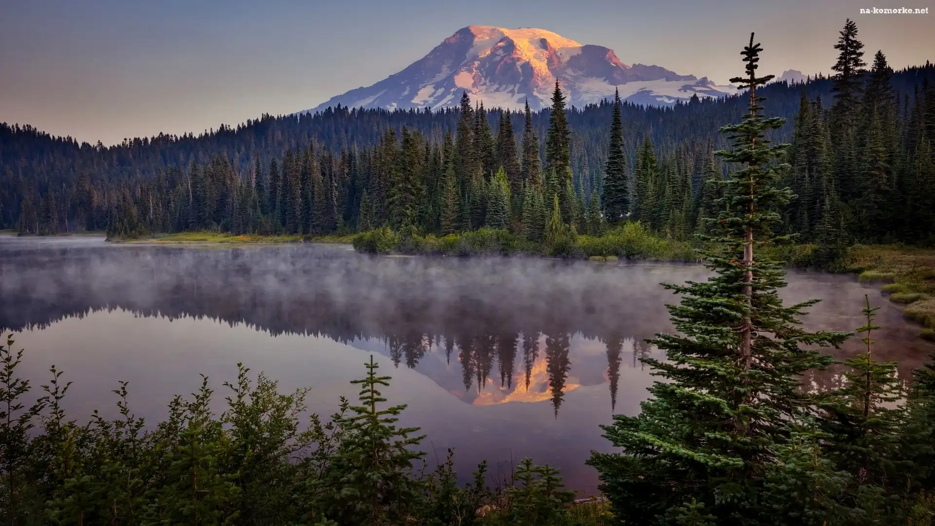 Park Narodowy Mount Rainier, Szczyt Mount Rainier, Mgła, Góra, Świerki, Drzewa, Jezioro Reflection Lakes, Stan Waszyngton, Stany Zjednoczone, Las