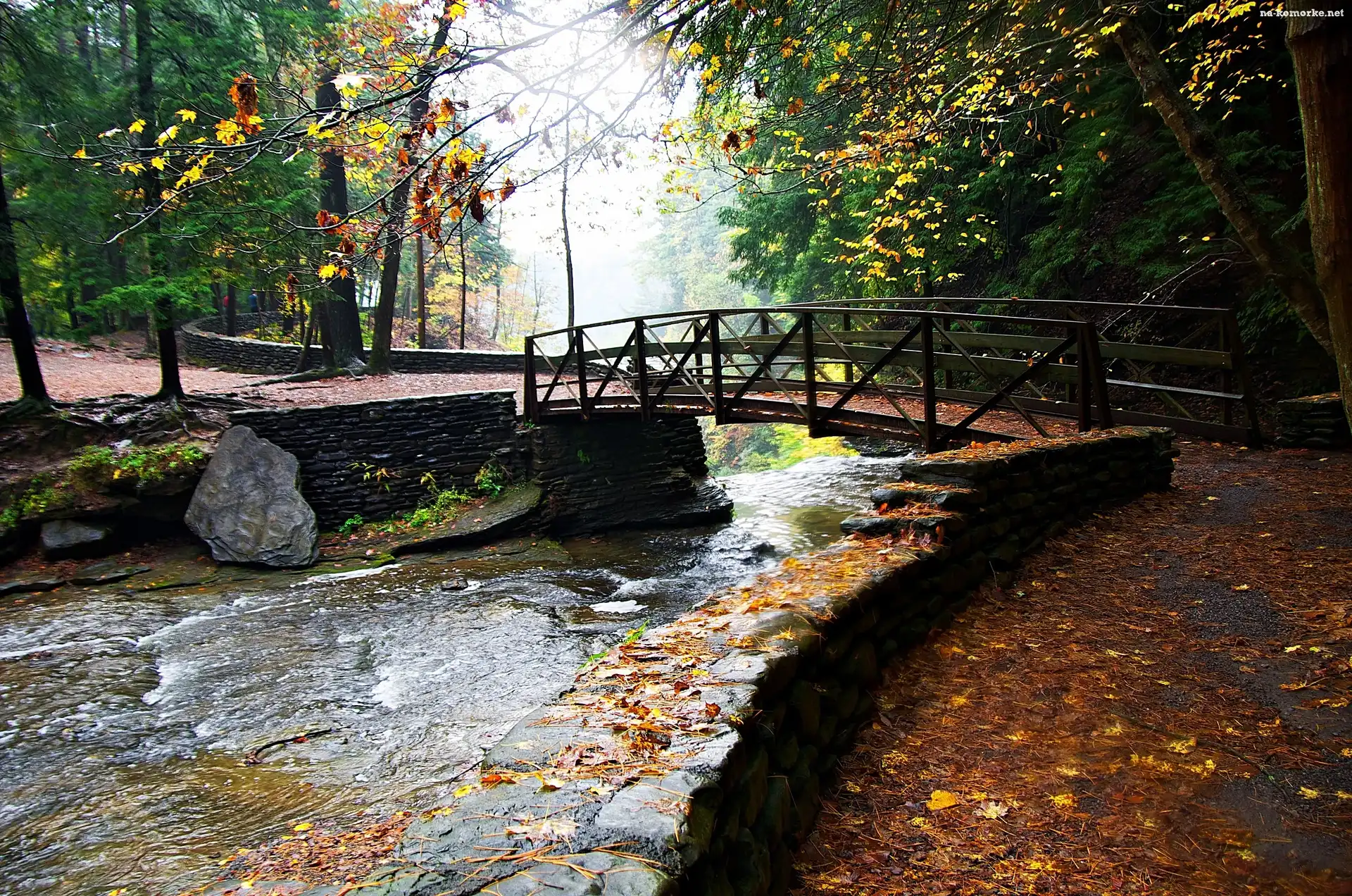 Park, Jesień, Rzeczka, Most