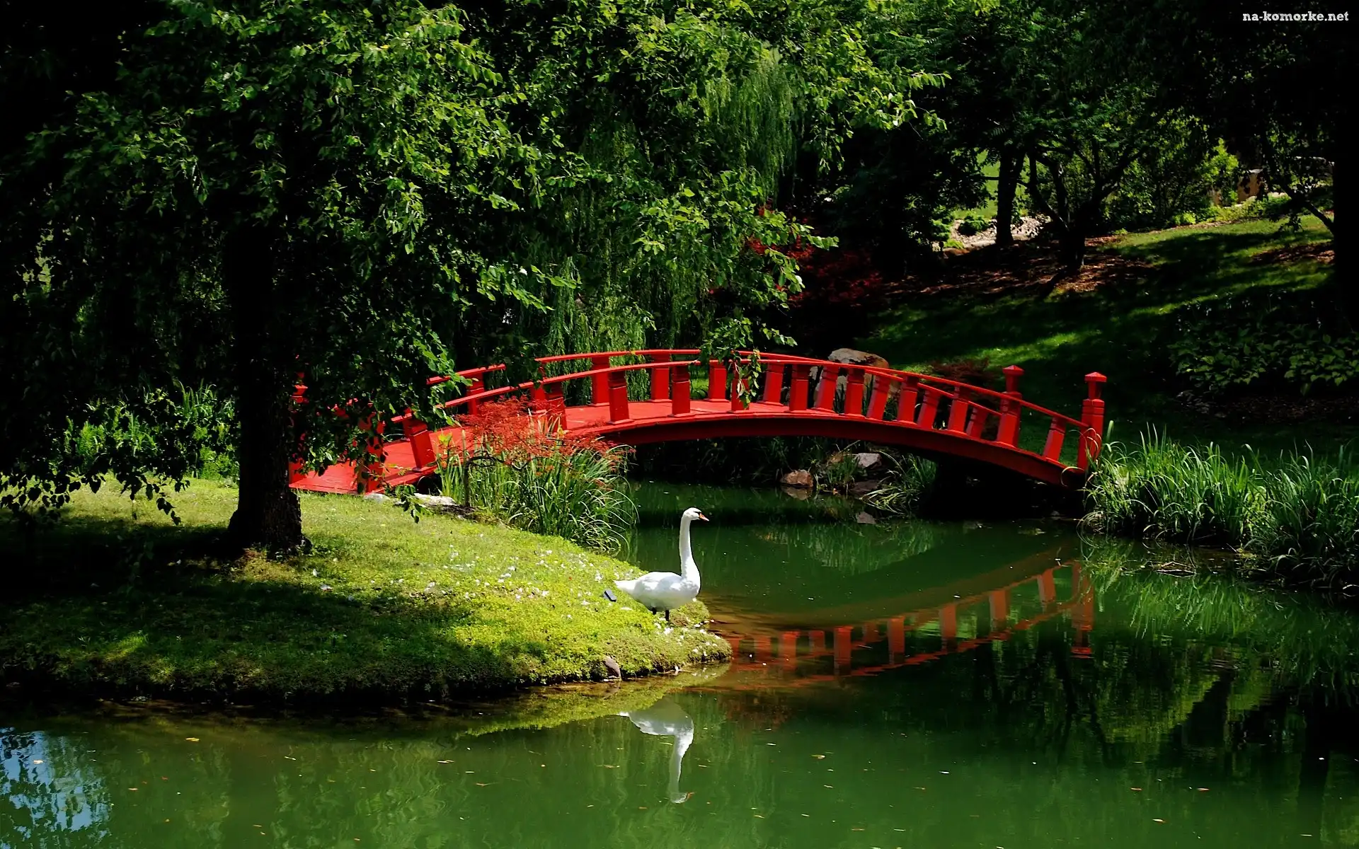 Park, Gęś, Rzeka, Mostek