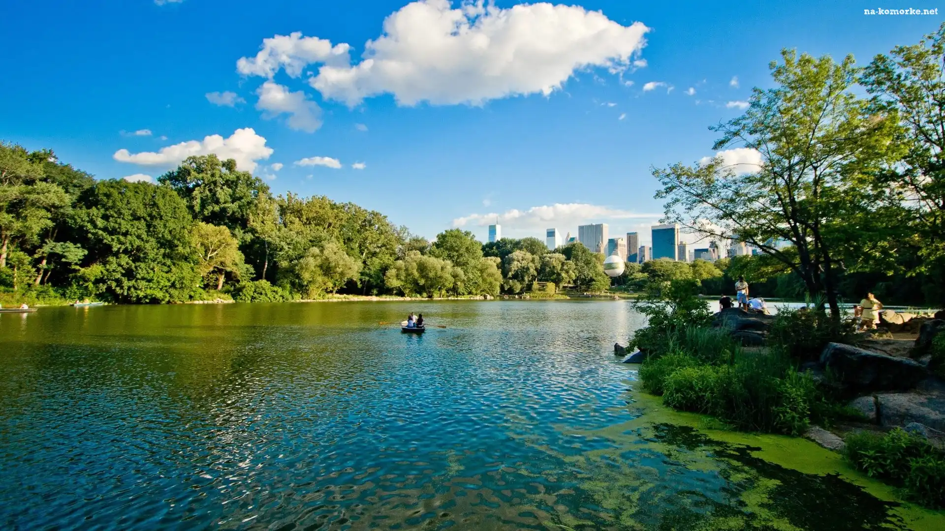 Park, Natura, Rzeka, Wieżowce