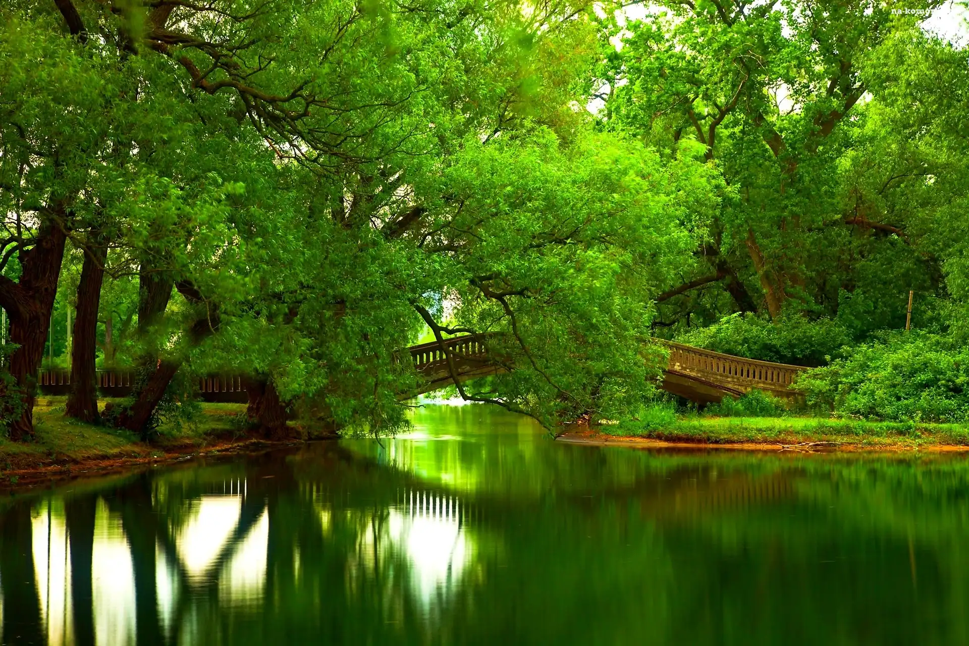 Park, Zieleń, Rzeka, Most