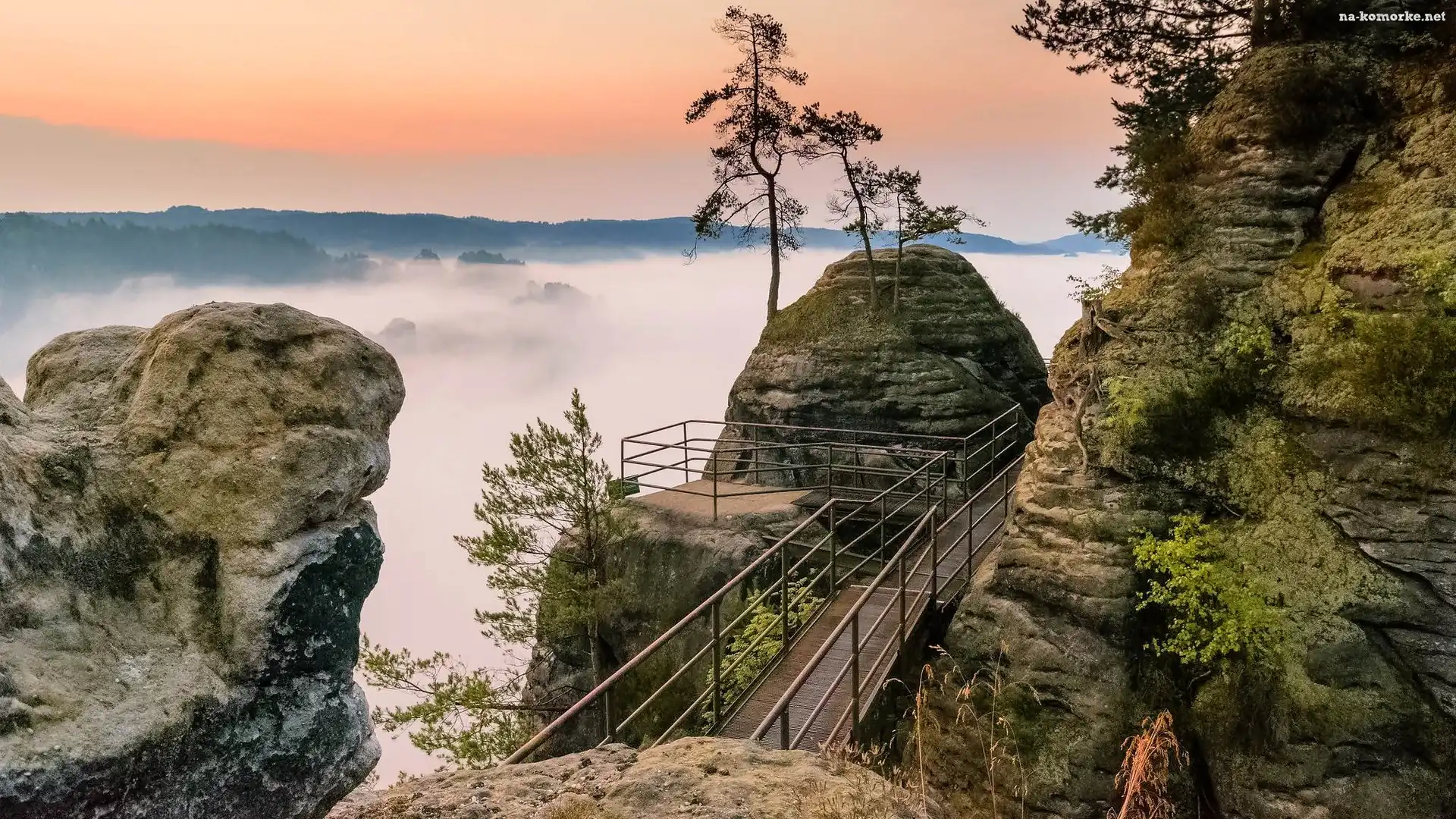 Góry Połabskie, Park Narodowy Saskiej Szwajcarii, Niemcy, Skały, Mgła, Pomost, Drzewa