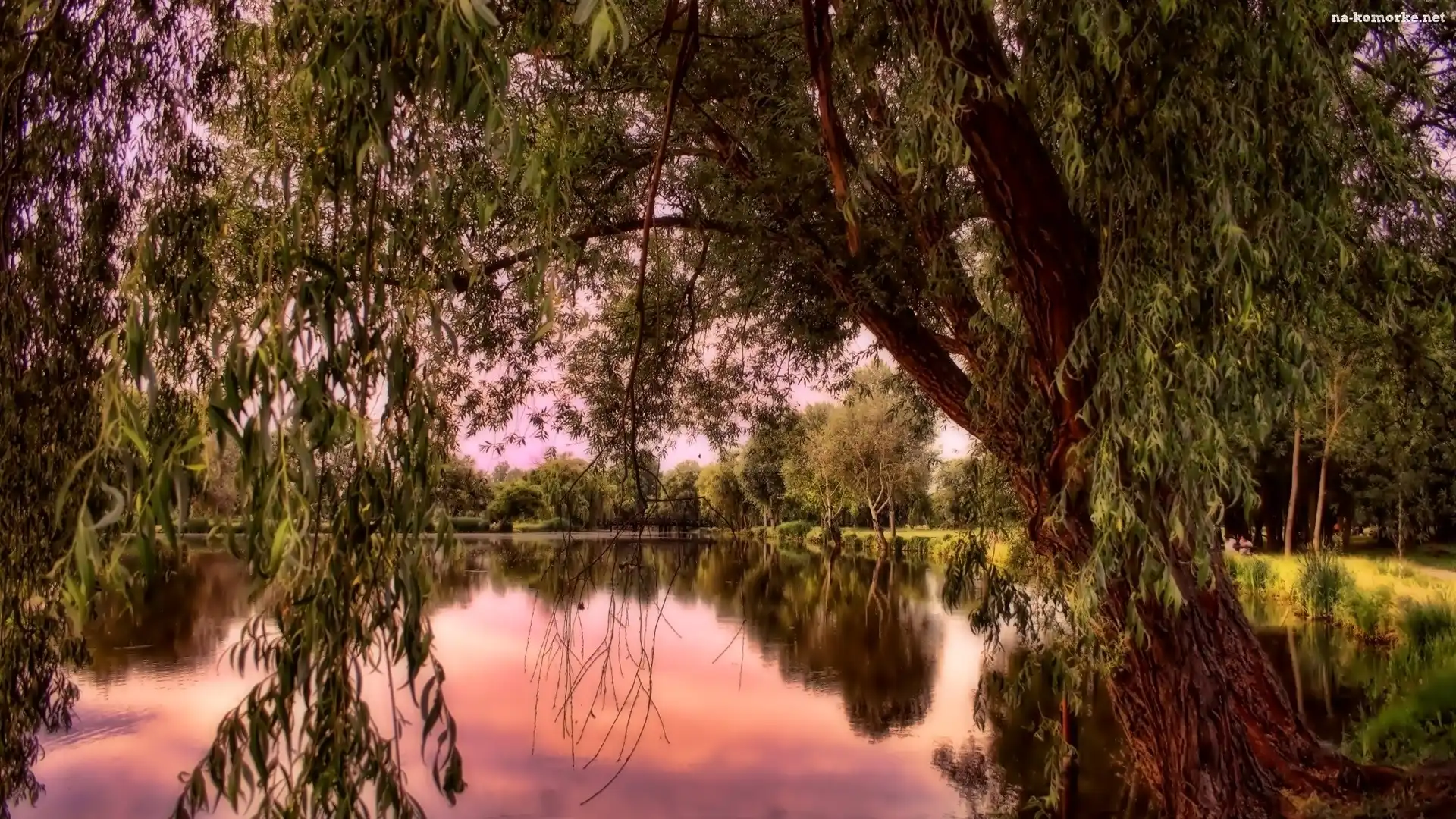 Park, Staw, Zachód Słońca, Drzewa