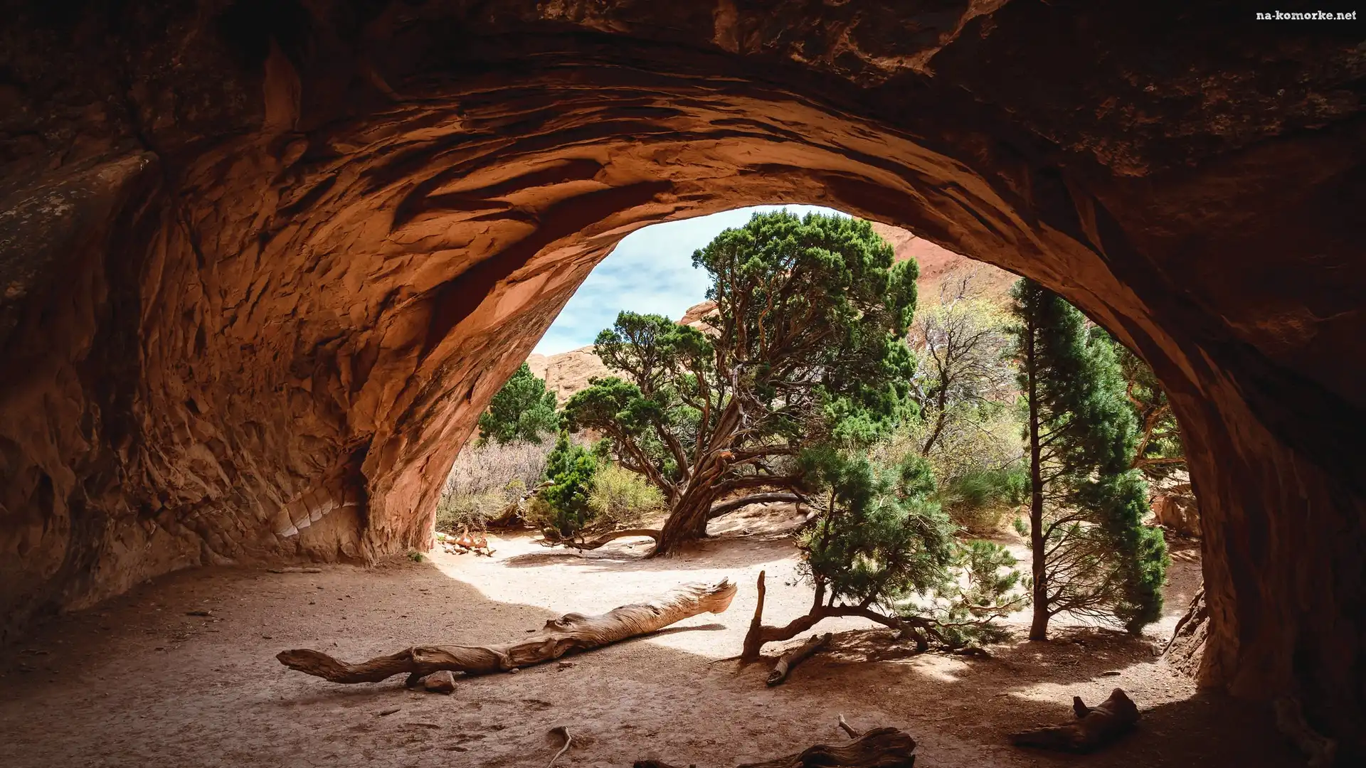 Park Narodowy Arches, Utah, Jaskinia, Stany Zjednoczone, Drzewa, Sosny, Skały