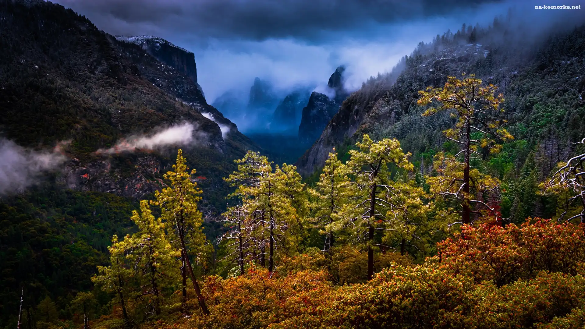 Park Narodowy Yosemite, Stan Kalifornia, Sierra Nevada, Stany Zjednoczone, Góry, Las, Drzewa, Chmury