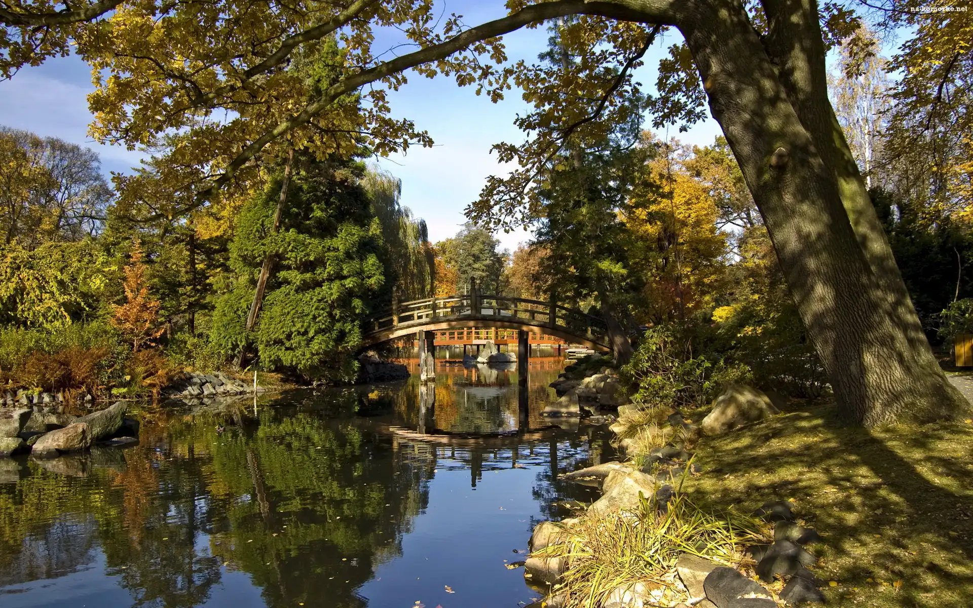 Park, Rzeka, Mostek, Stare, Drzewa