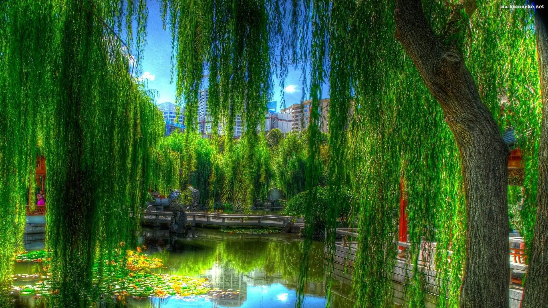 Park, Staw