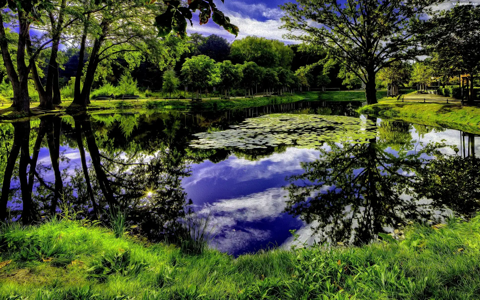 Park, Art, Staw, Zieleń