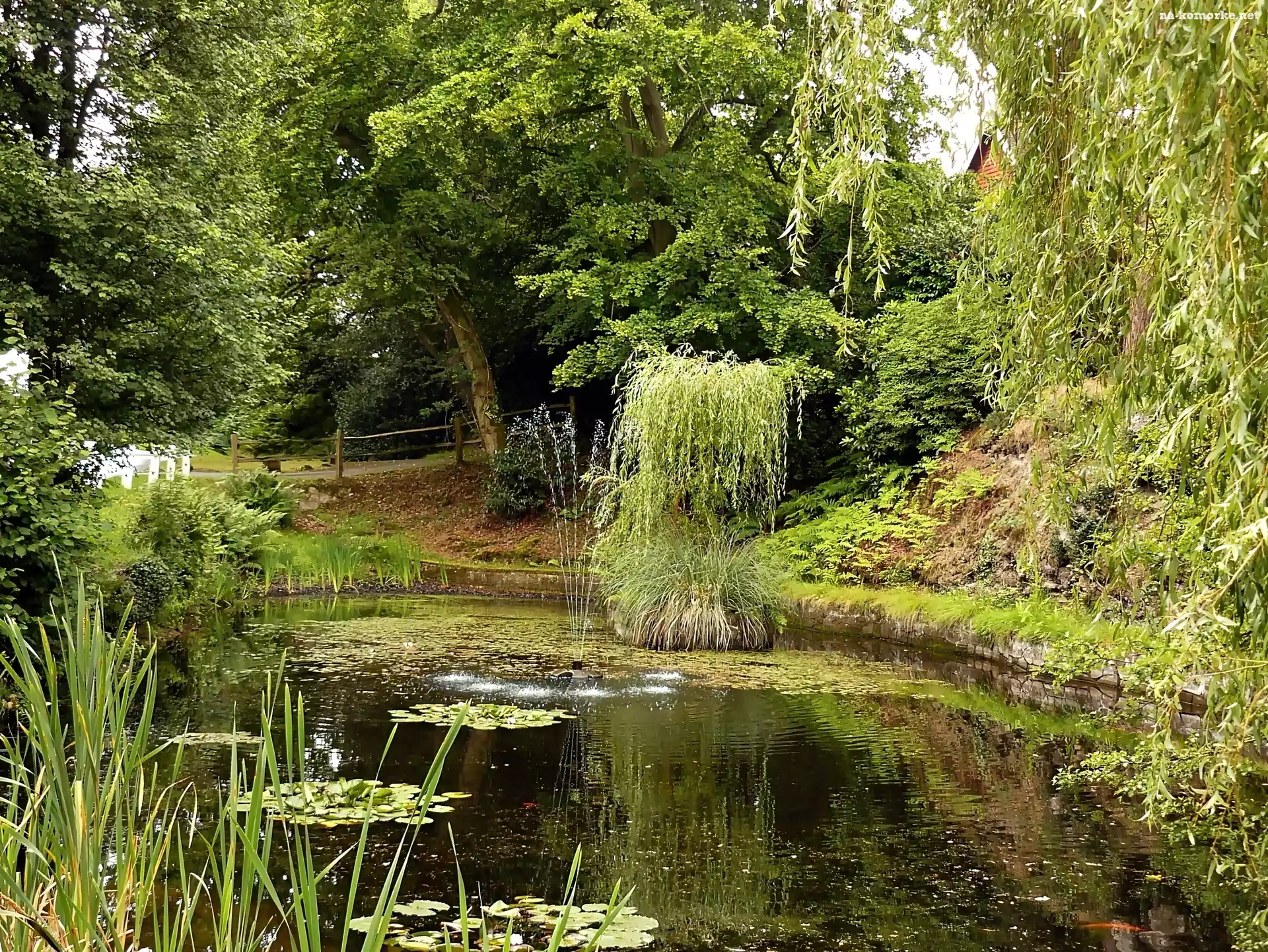 Park, Fontanna, Staw, Pływająca