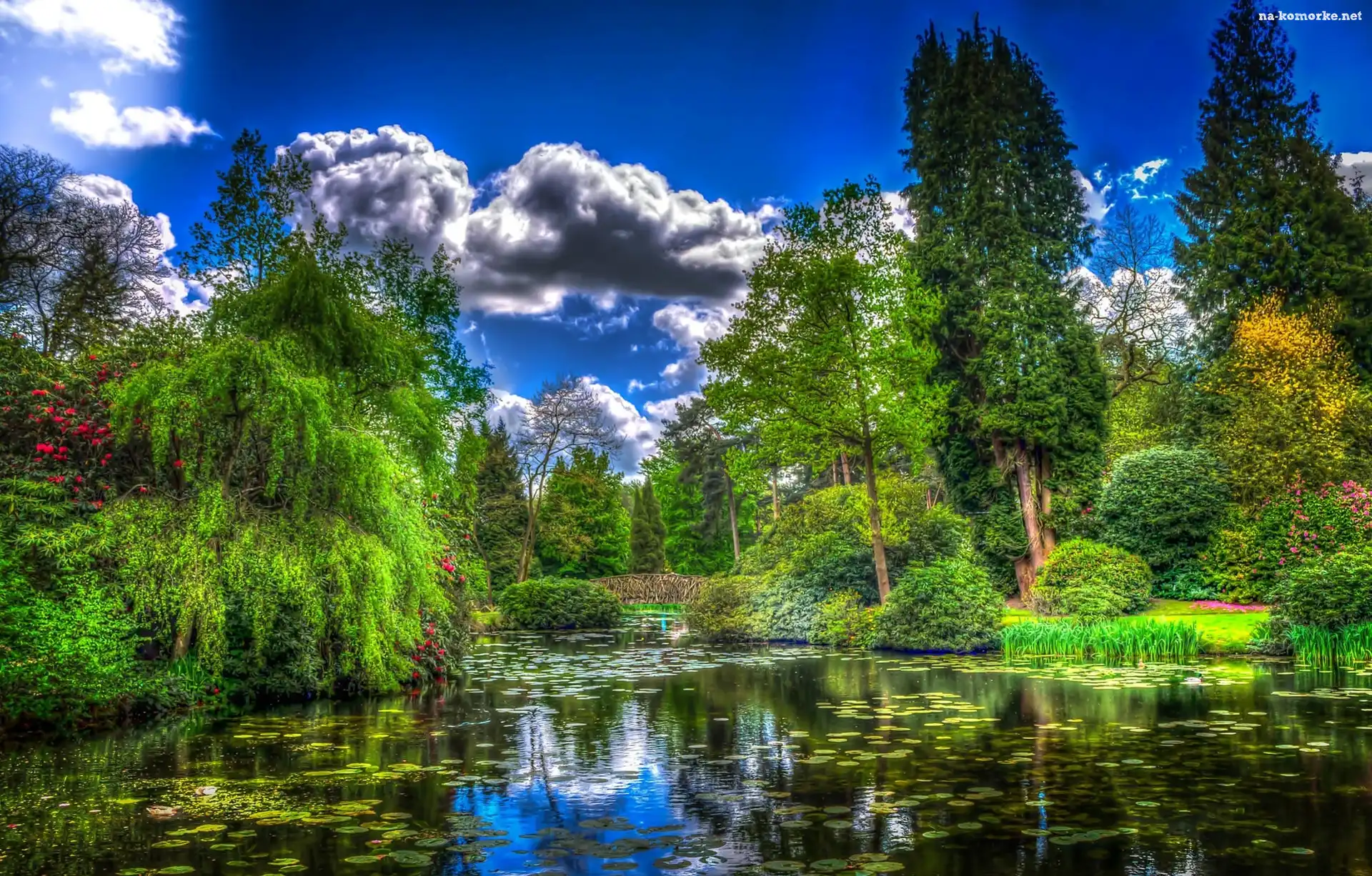 Park, HDR, Staw, Chmury