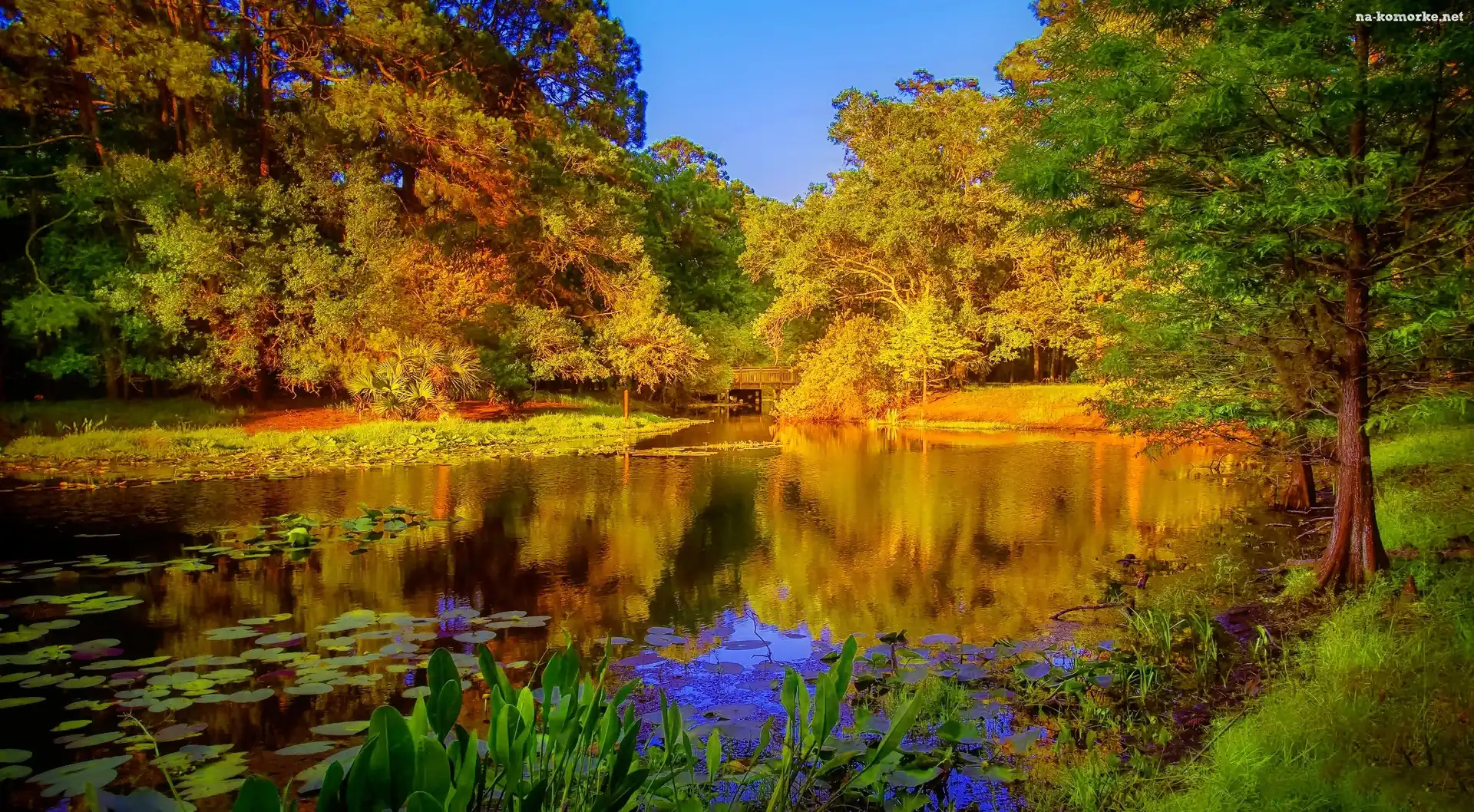 Park, Jesień, Staw, Most