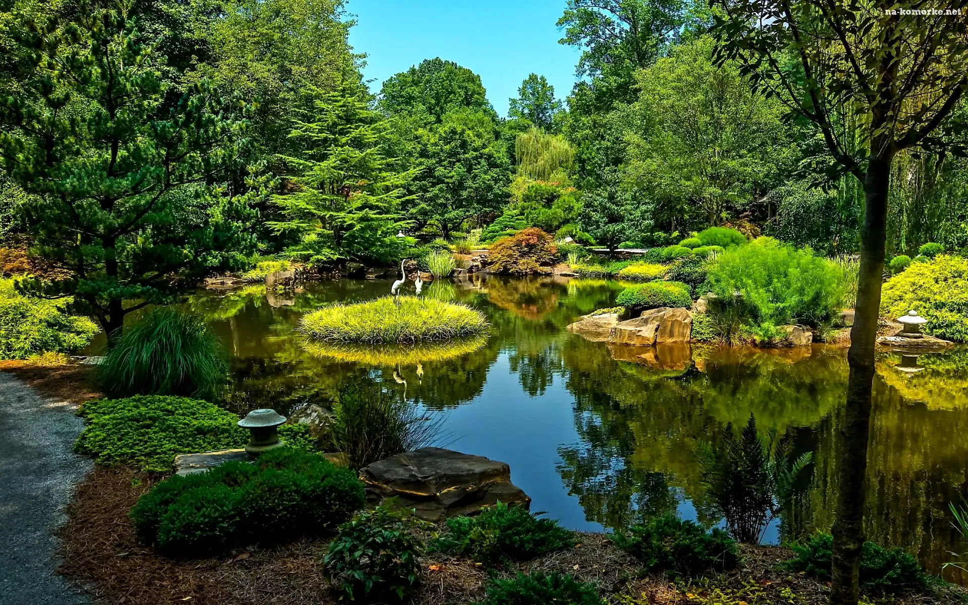 Park, Żurawie, Staw, Zieleń