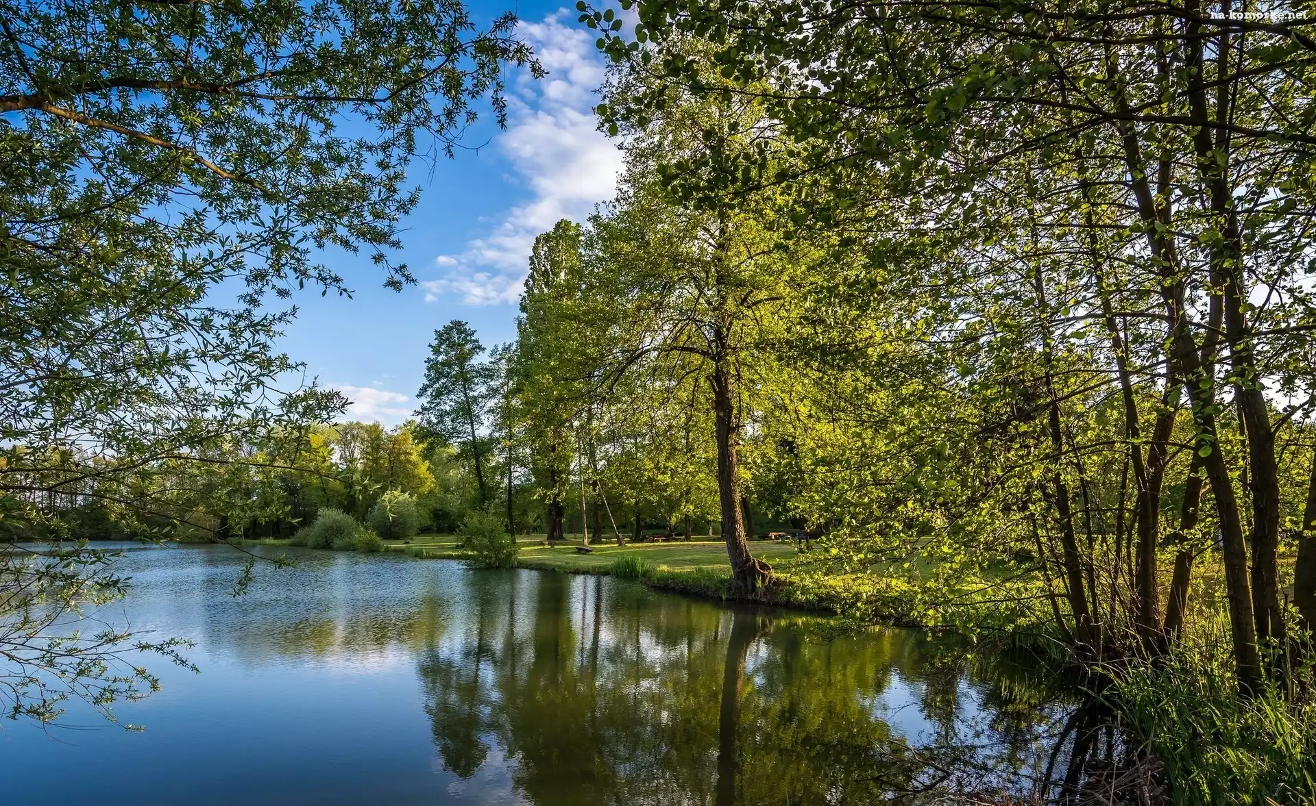 Staw, Park, Wiosna