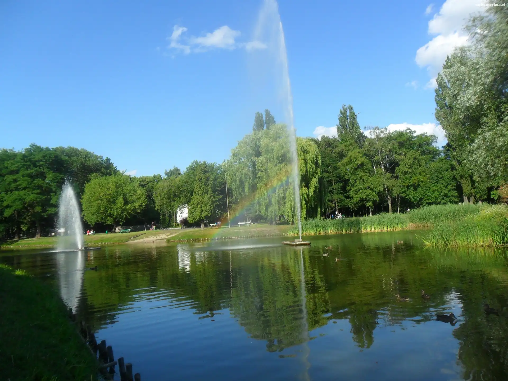 Park, Zieleń, Staw, Fontanna